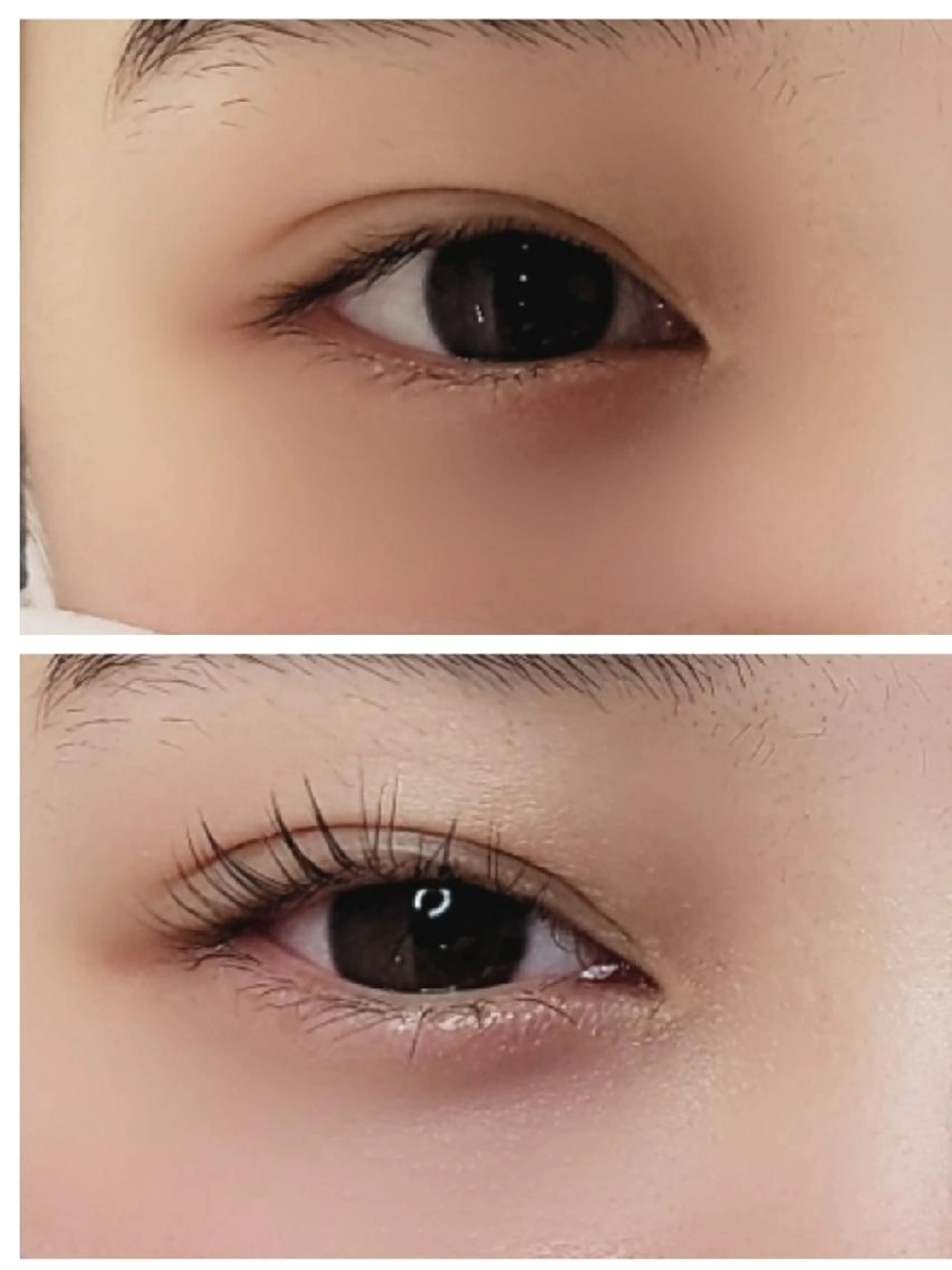 まつげパーマの写真