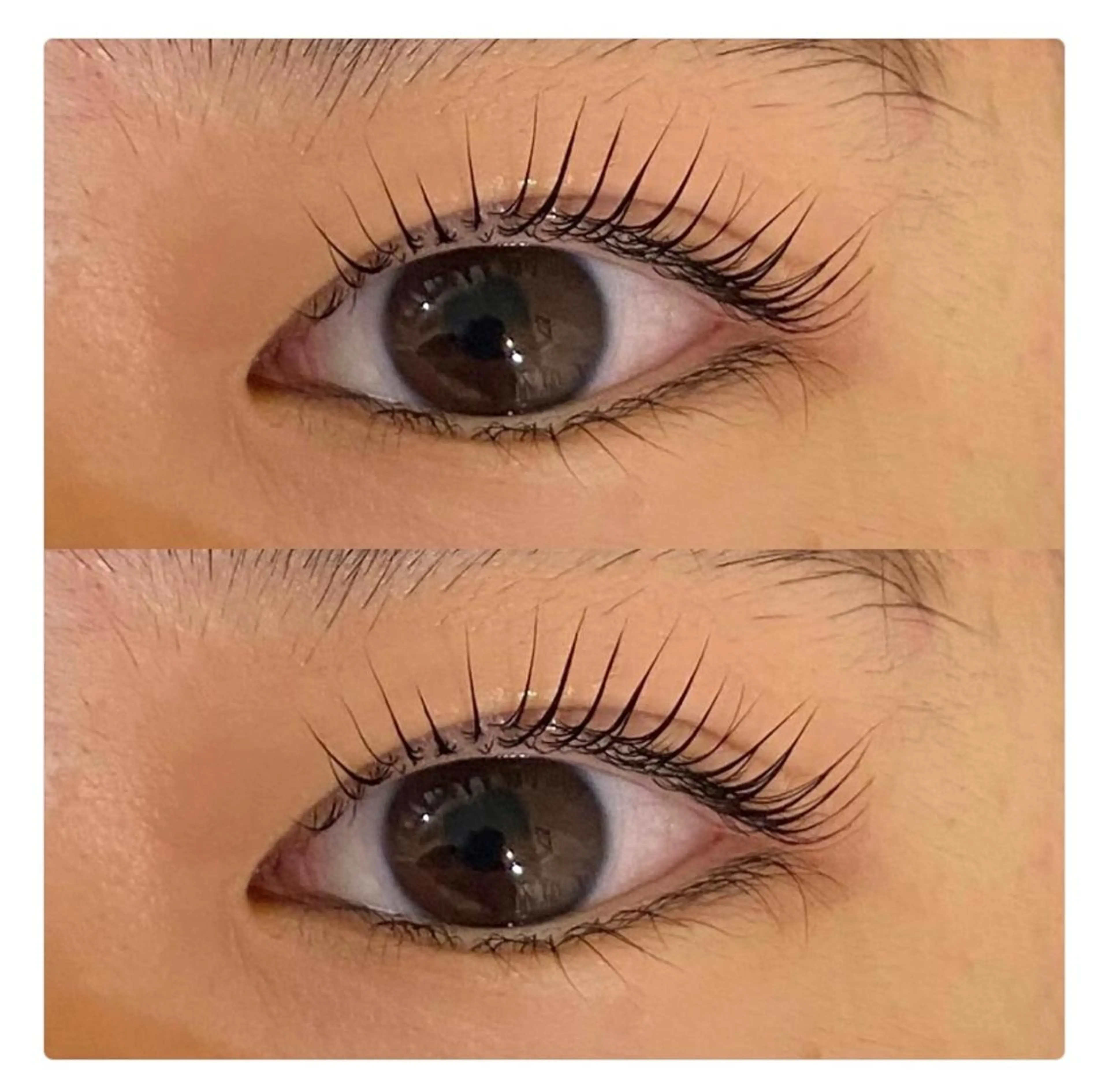 マツエク・マツパ パリジェンヌラッシュリフト HINANO🌷 髪質改善サロンの眉毛・アイブロウイメージ