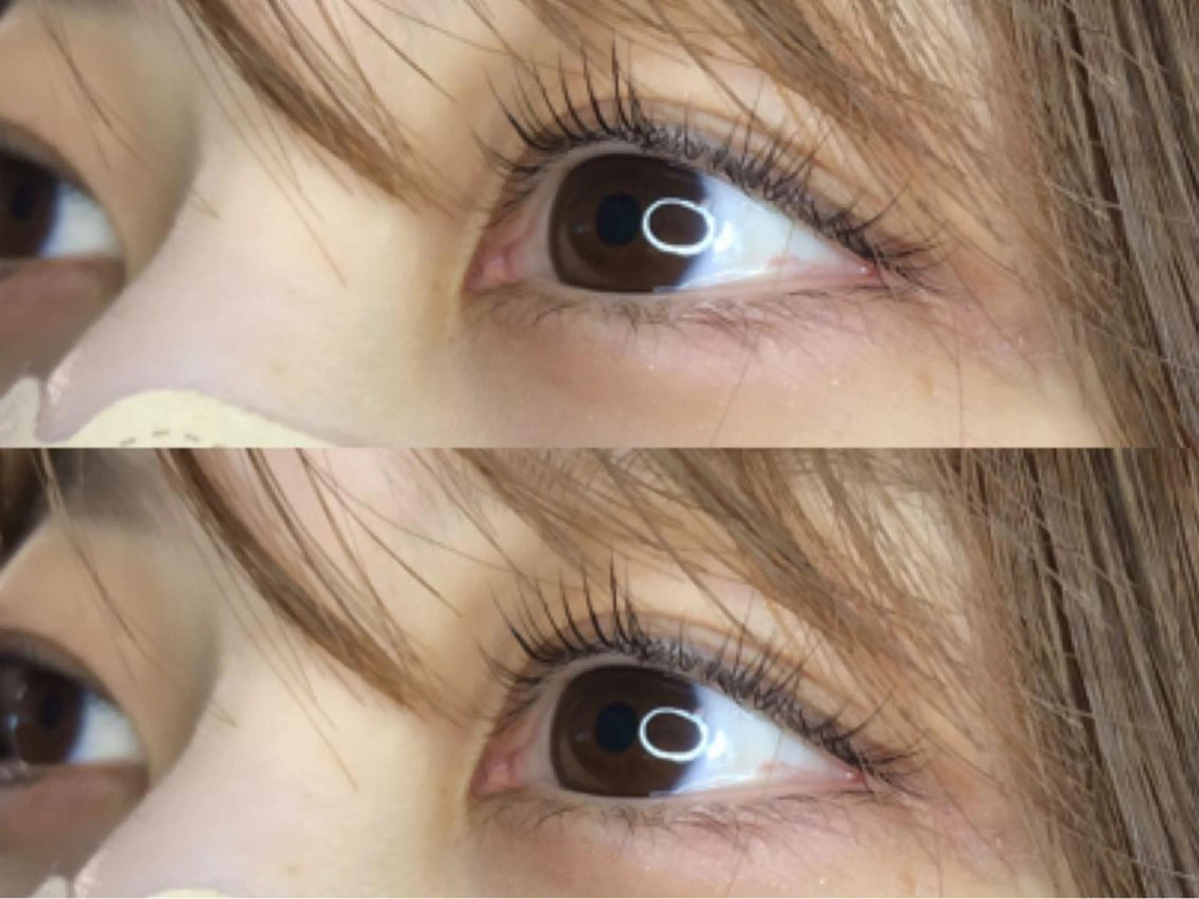 マツエク・マツパ 《eyelash ｉｉｔｅ》森のマツエク・マツパデザイン