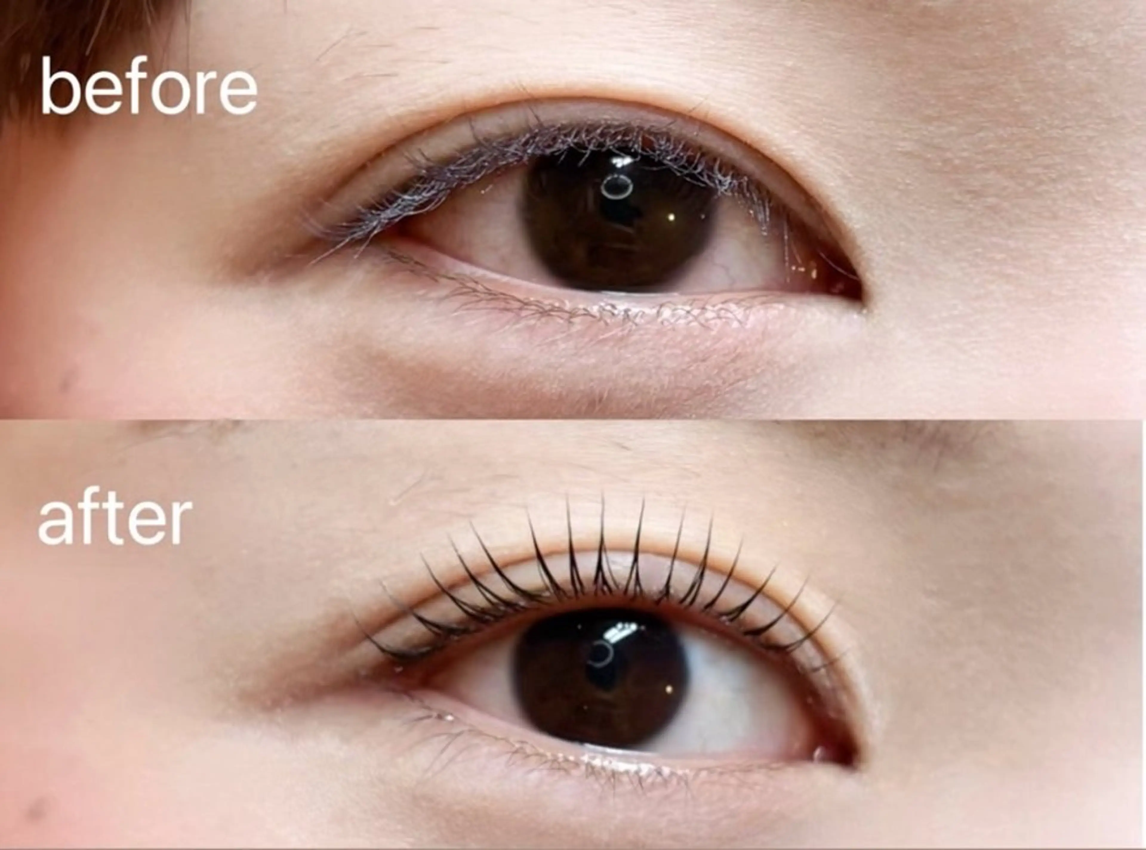 マツエク・マツパ 🎀Miyu🎀 ⠀のマツエク・マツパデザイン