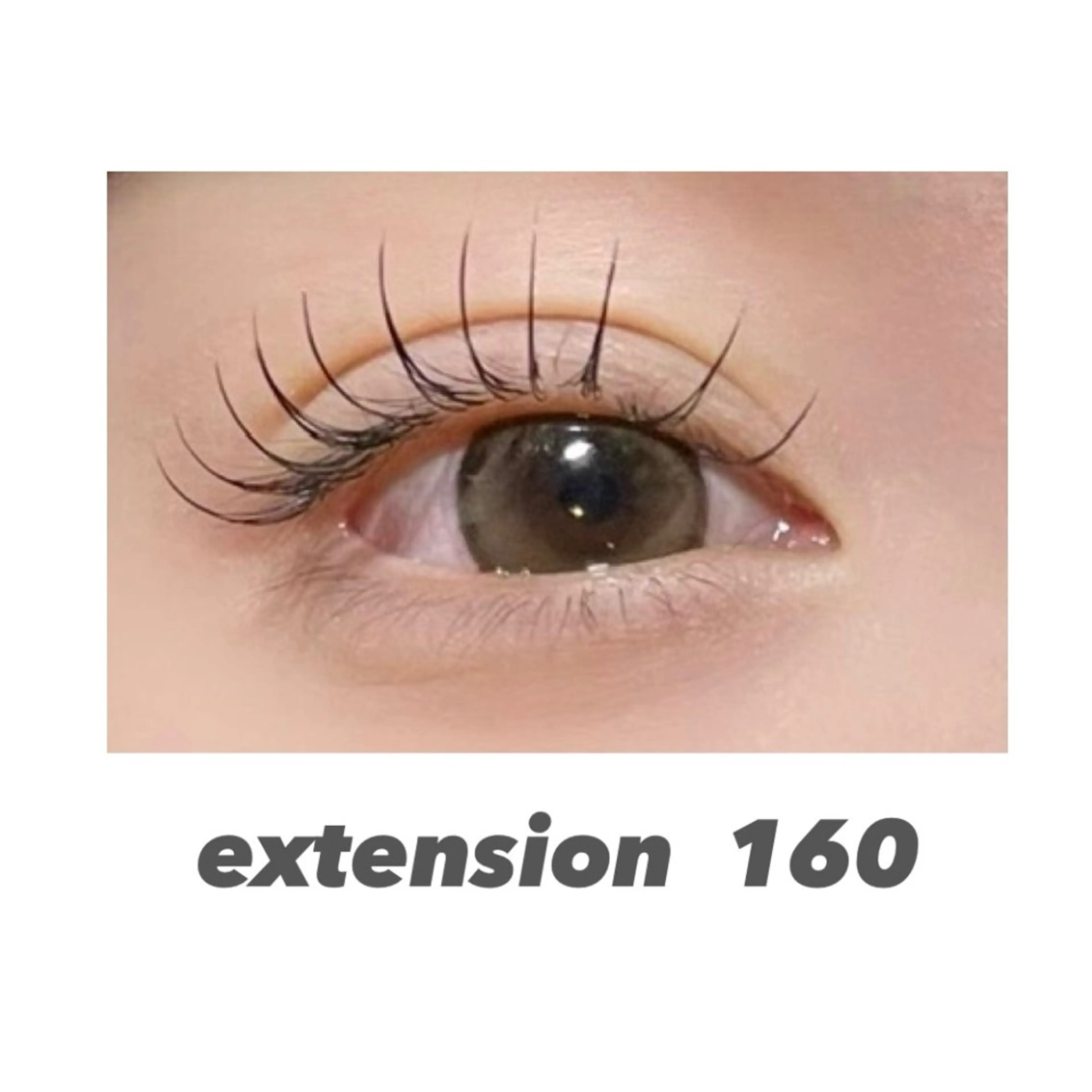 国産最高級セーブル毛160本の写真