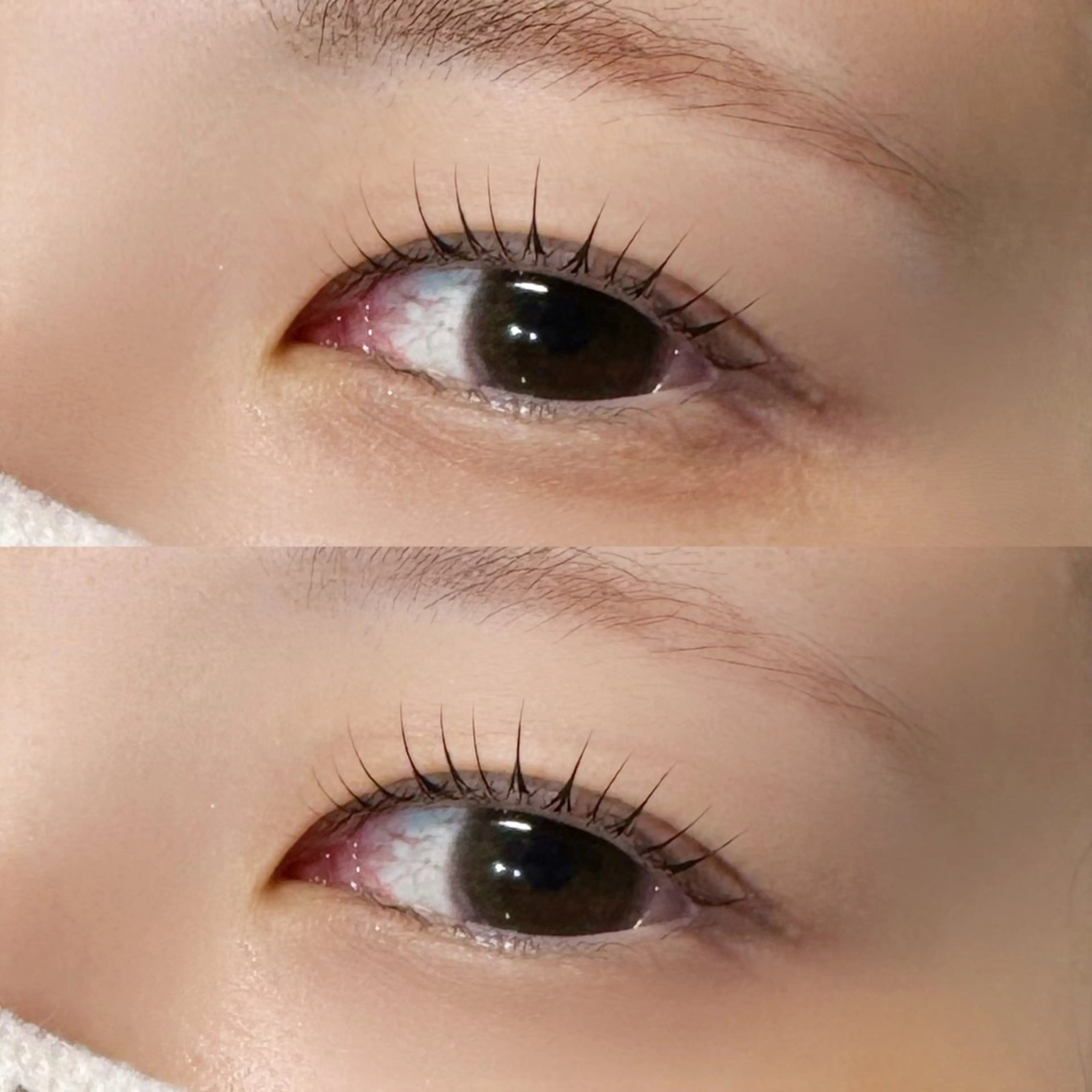 🤍ྀི まつ毛パーマ 🤍ྀིの写真