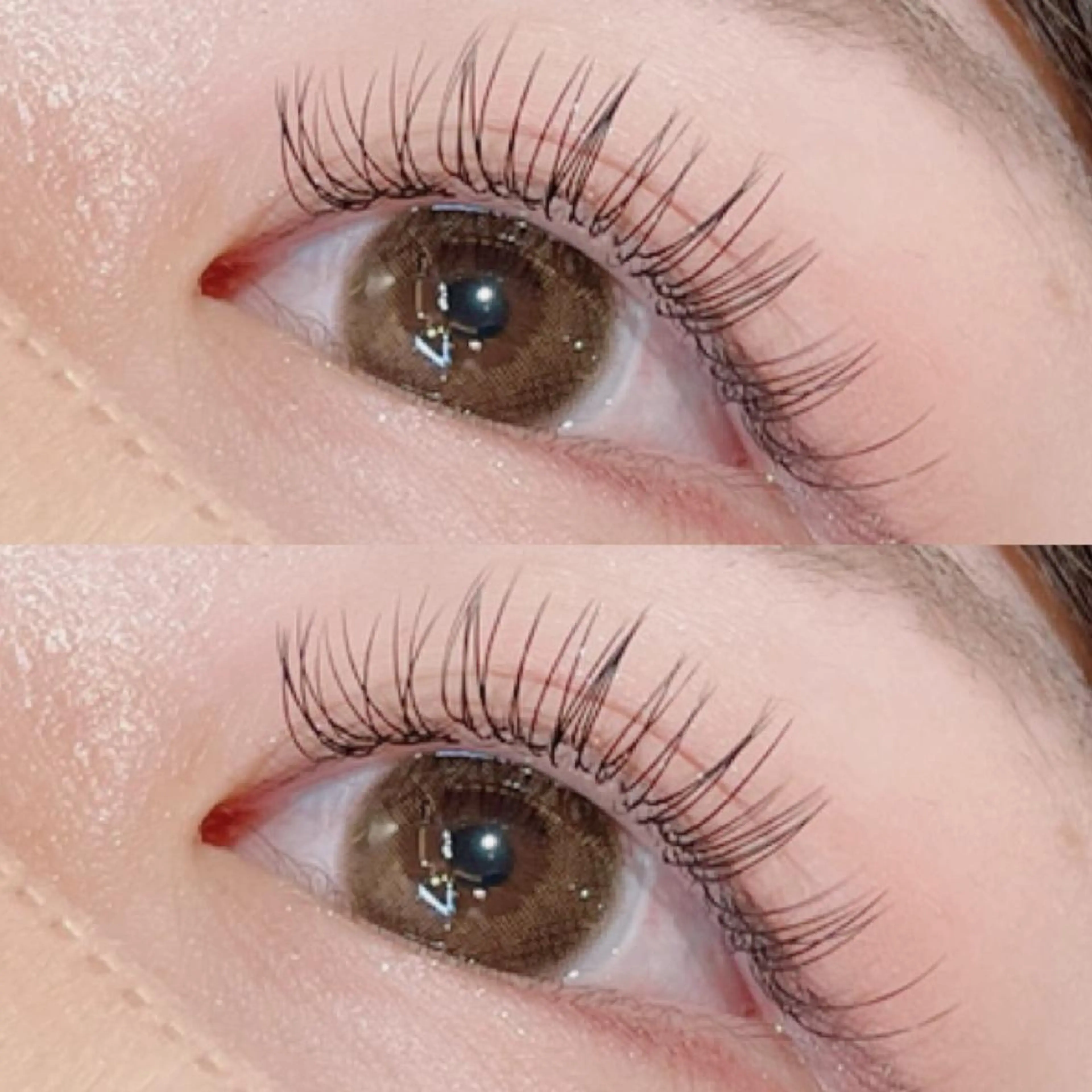 🫧フラットラッシュ140本（再来＋550円）の写真