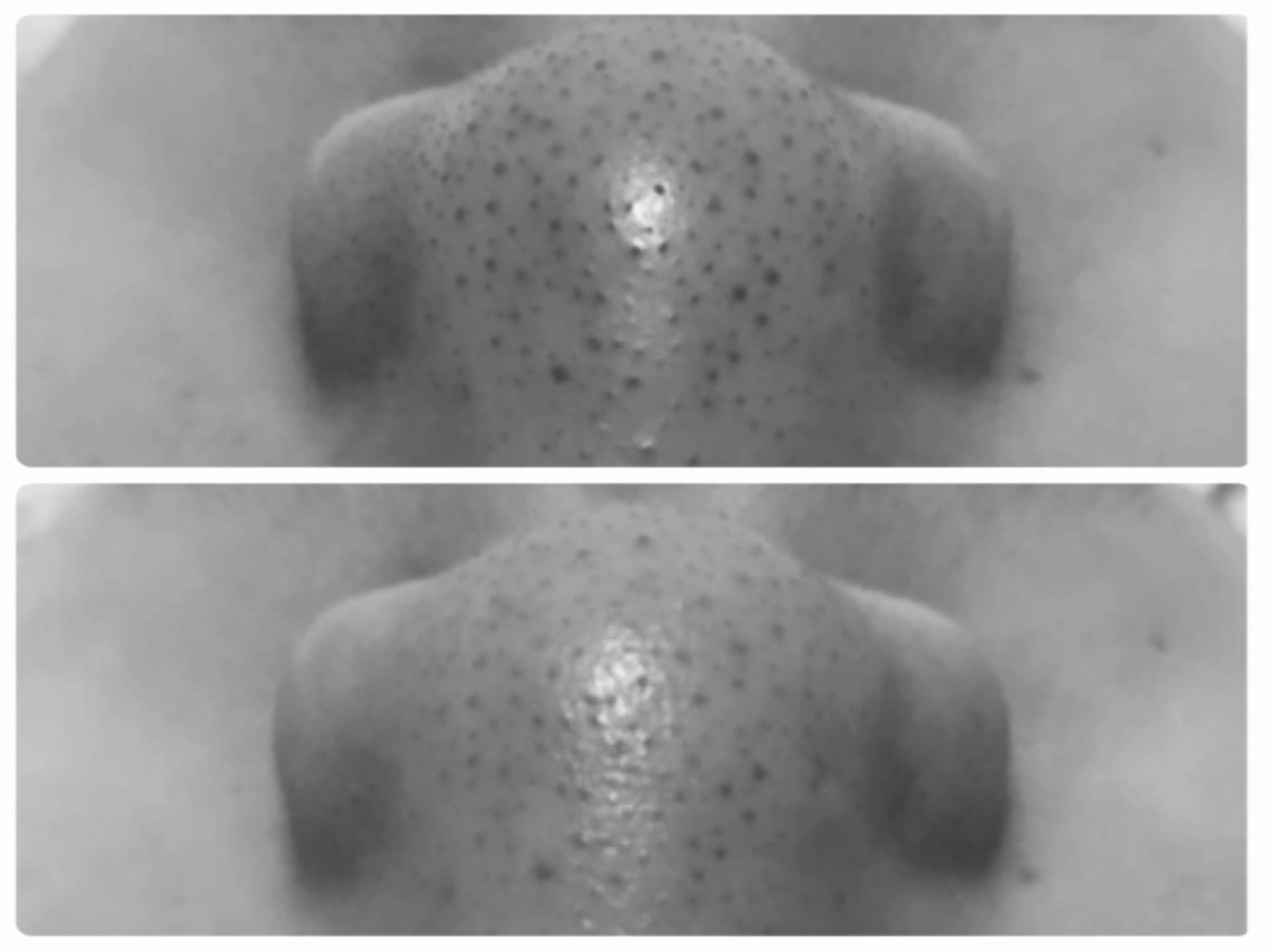 井上 ミキのその他イメージ