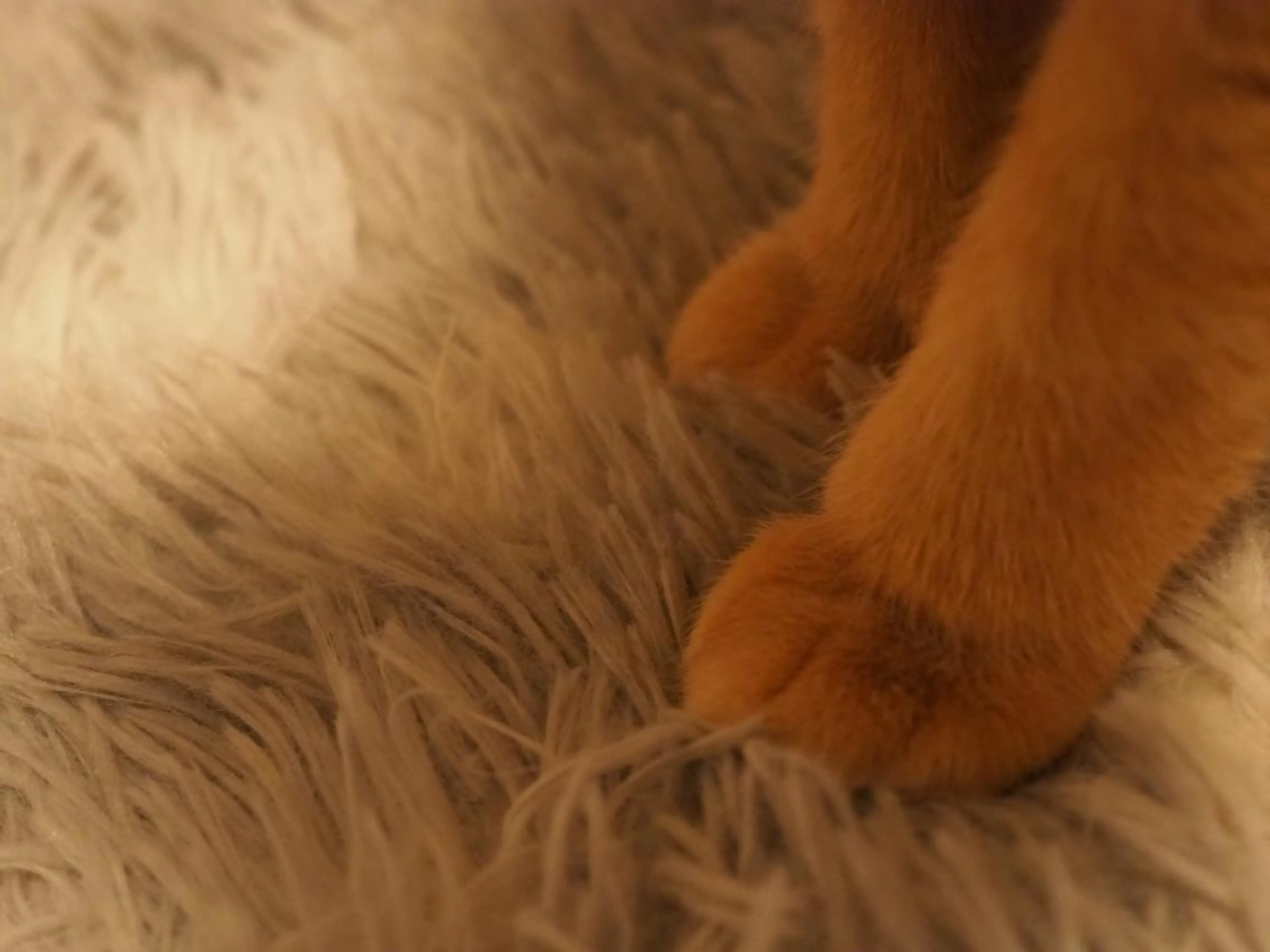 ネイル kiki nail &brow二子玉川の眉毛・アイブロウイメージ