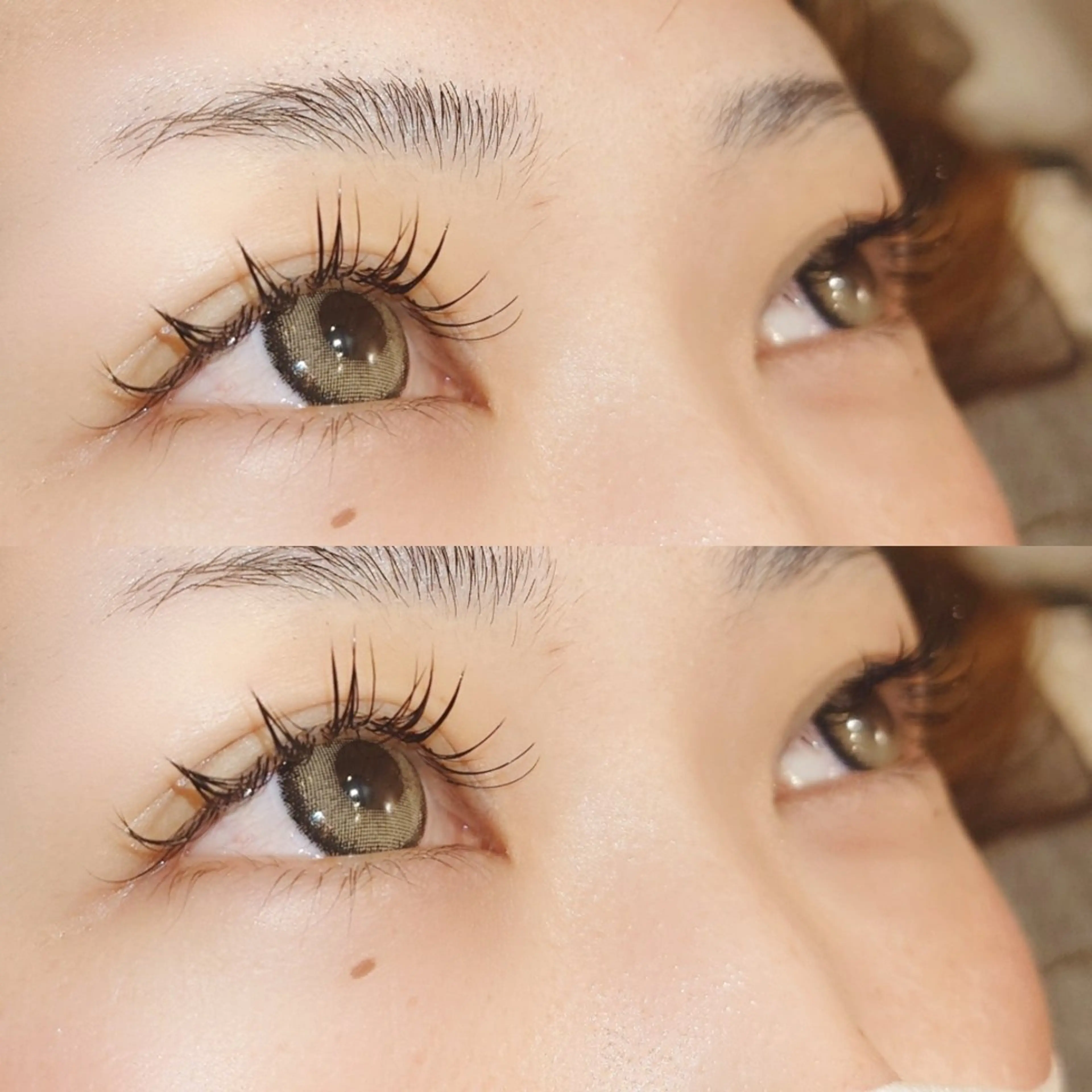 【ご新規様】フラットラッシュ140本💐アイシャンプー🫧持続アップコーティング付🤍の写真