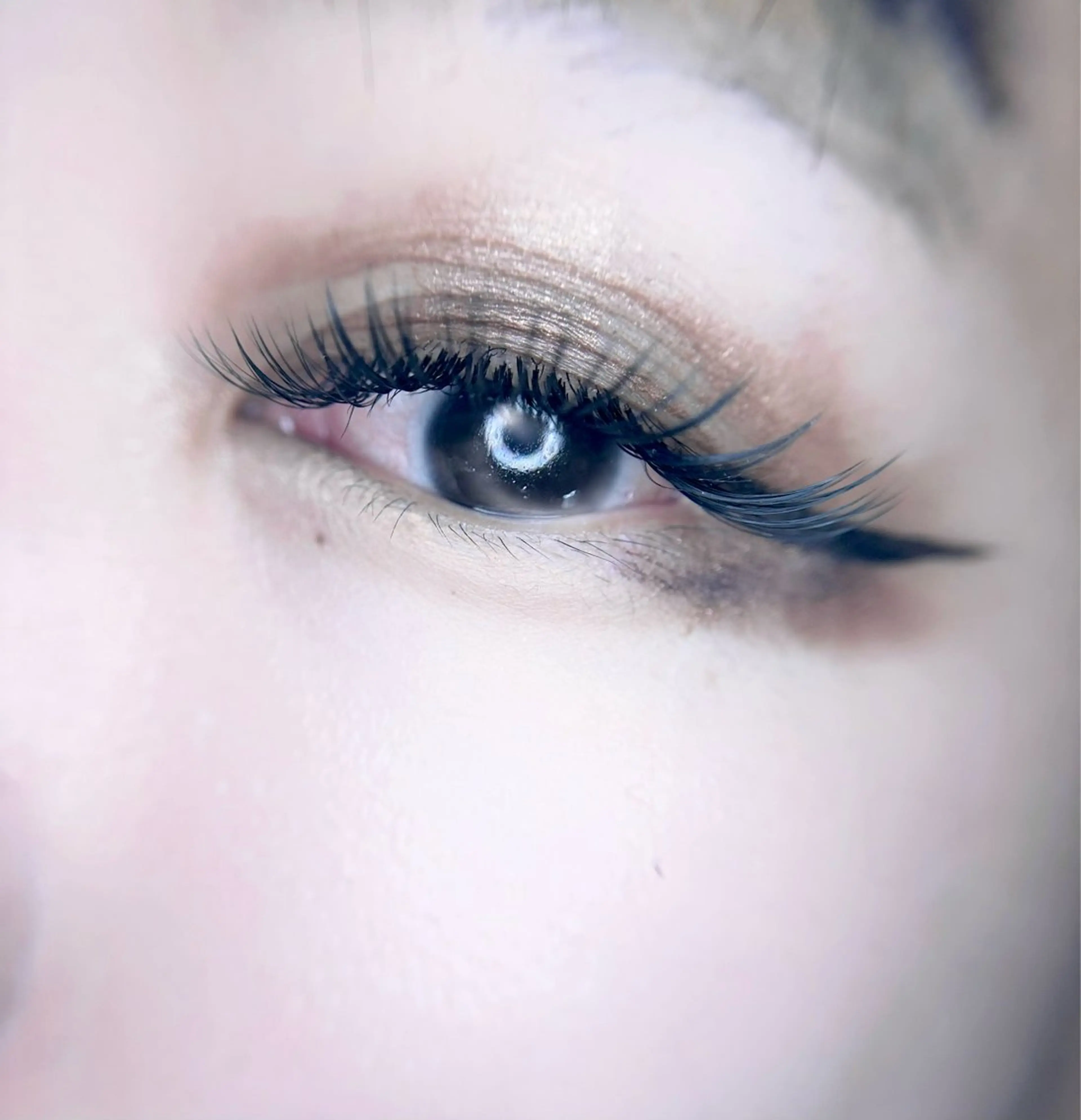 マツエク・マツパ マツエク 🎀eyelist. mizuki🐈‍⬛の眉毛・アイブロウイメージ