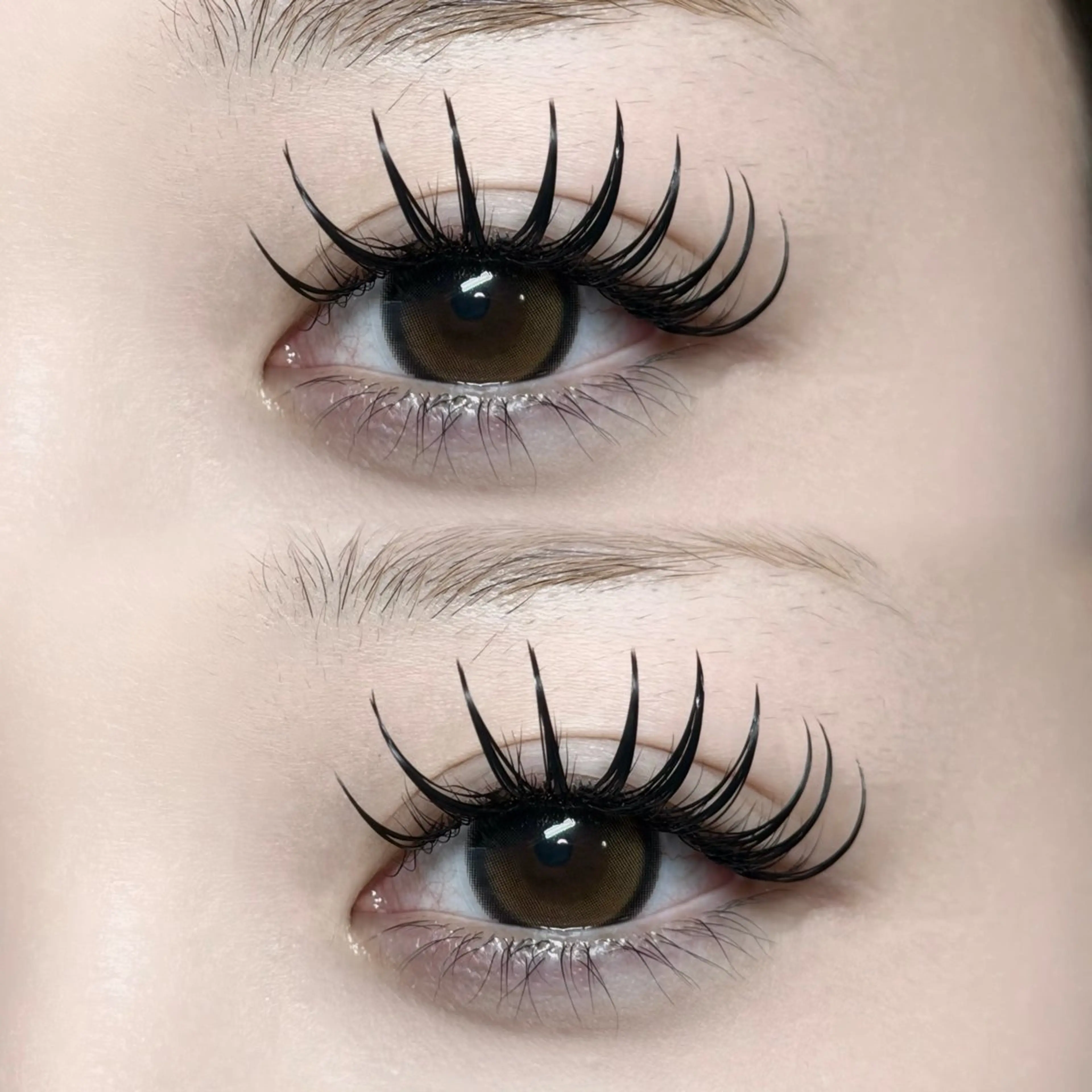 マツエク・マツパ マツエク ぷりゅねる心斎橋 /LED専門店のマツエク・マツパデザイン