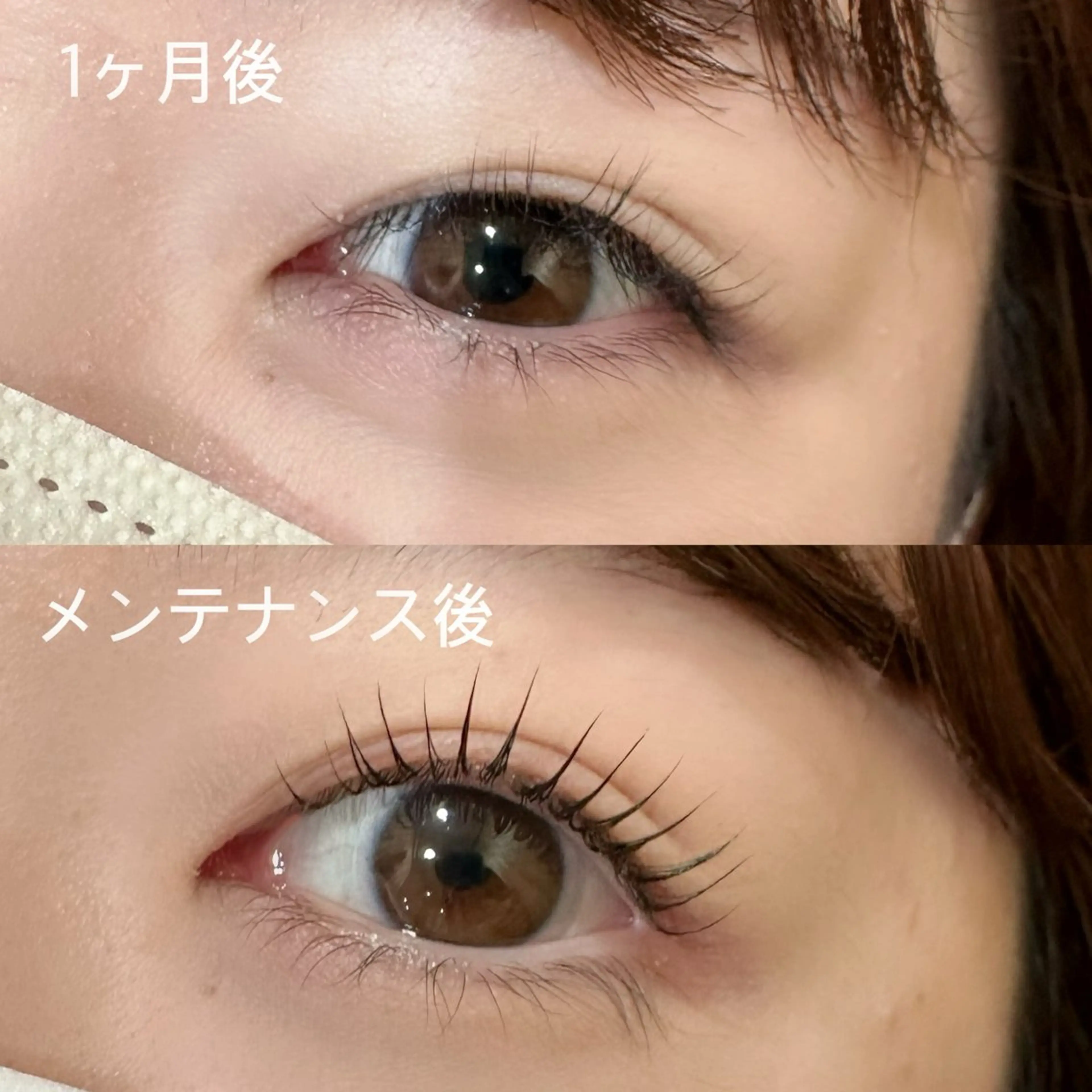 マツエク・マツパ パリジェンヌラッシュリフト マツパ eight misaki🦋のその他イメージ