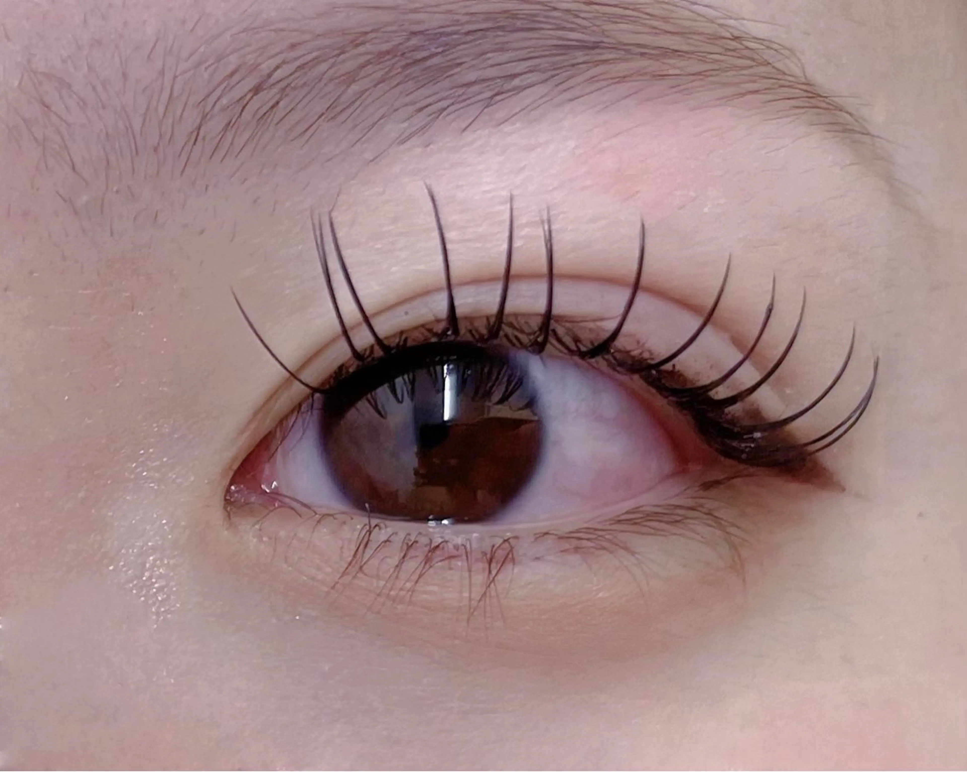 ☆次世代LED  フラットラッシュ☆80本　￥4,000→￥3,500の写真