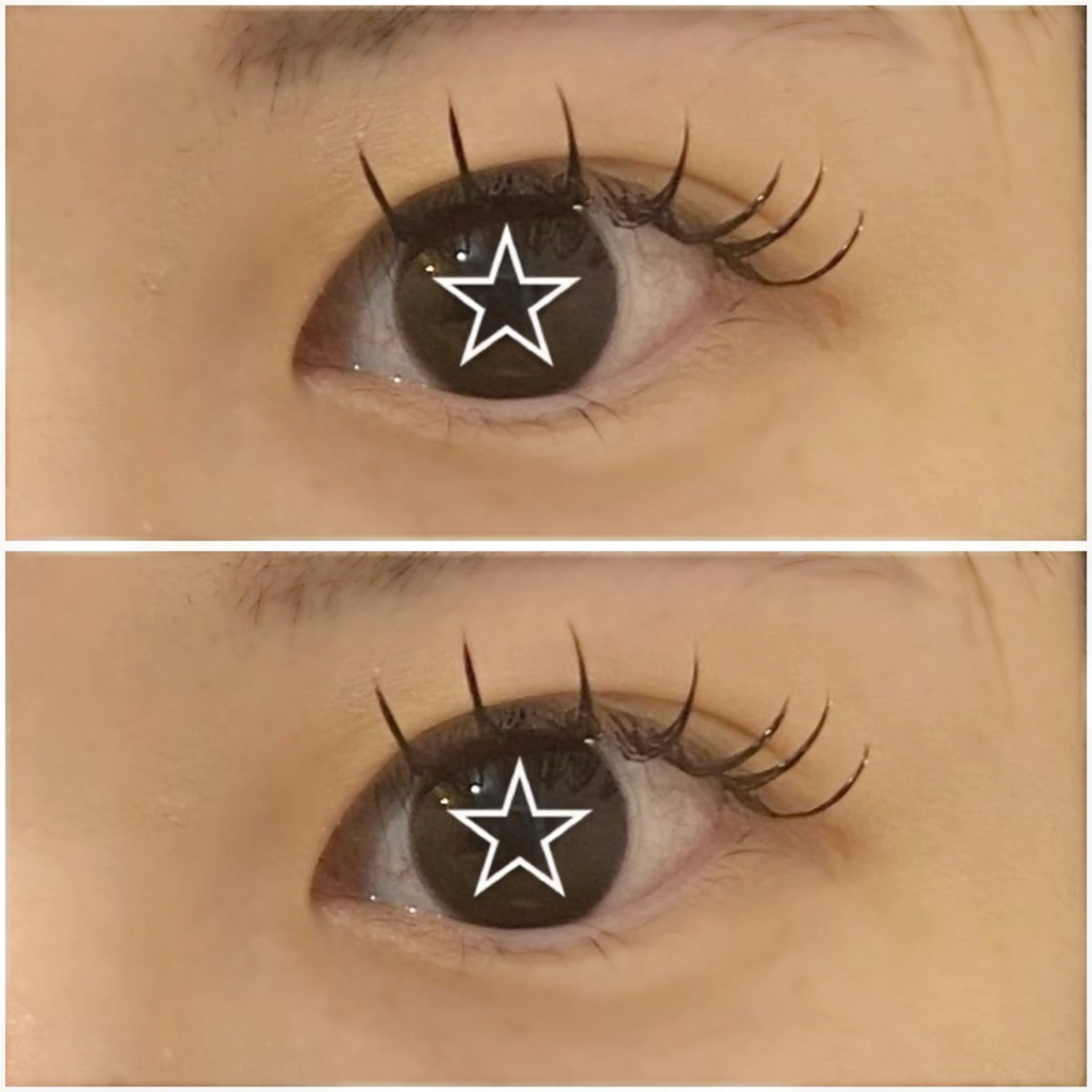 バインドロック60束の写真