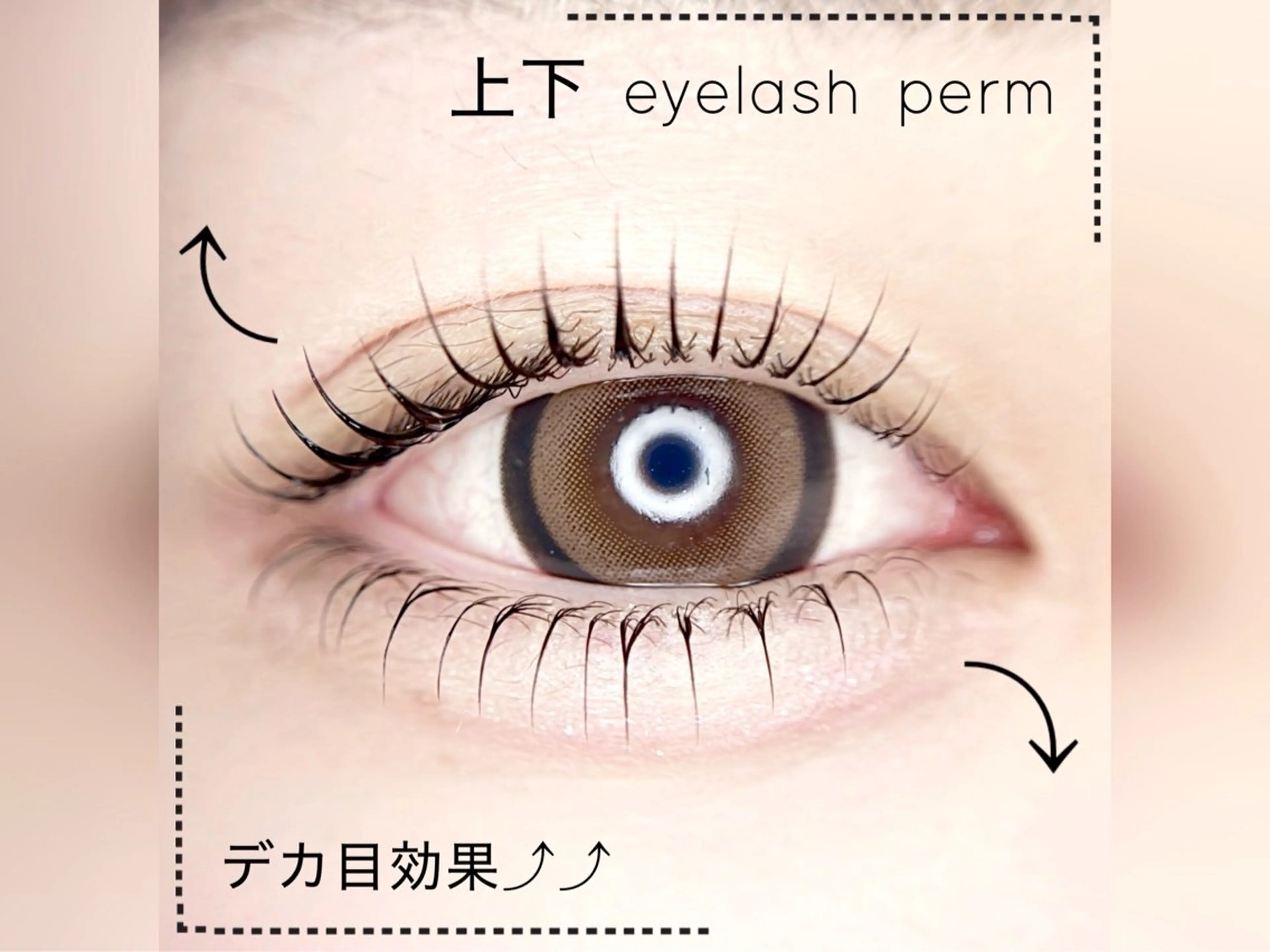 マツエク・マツパ 名原 翔のマツエク・マツパデザイン