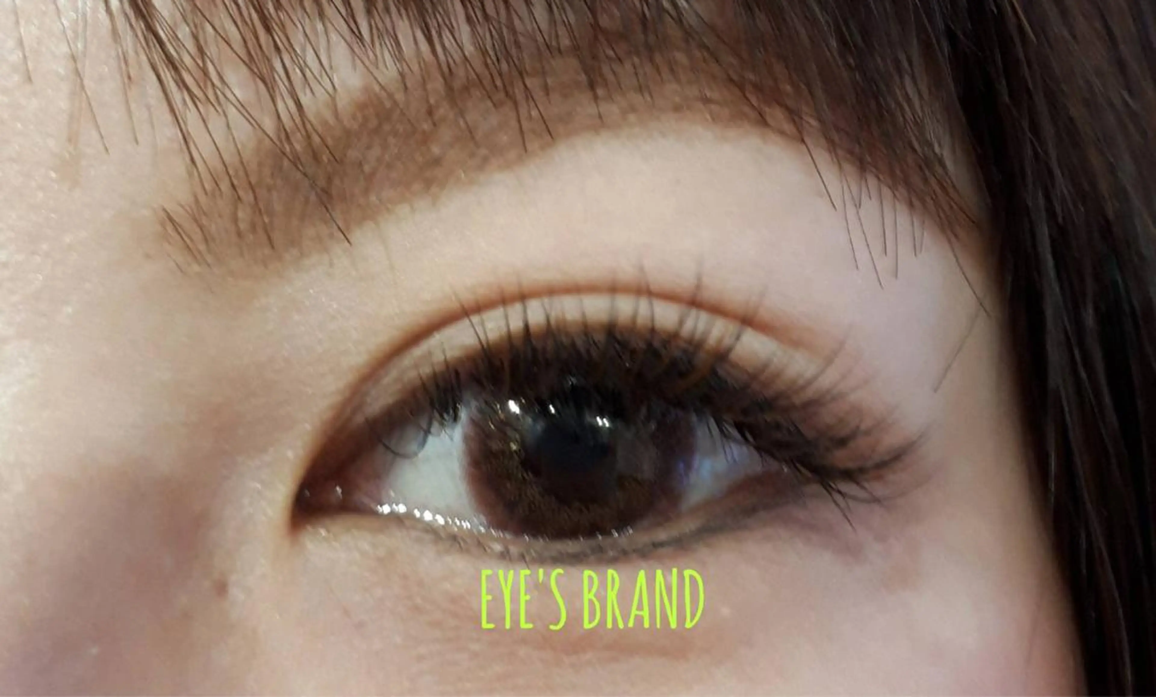 マツエク・マツパ マツエク BODY BRAND Vi +のマツエク・マツパデザイン