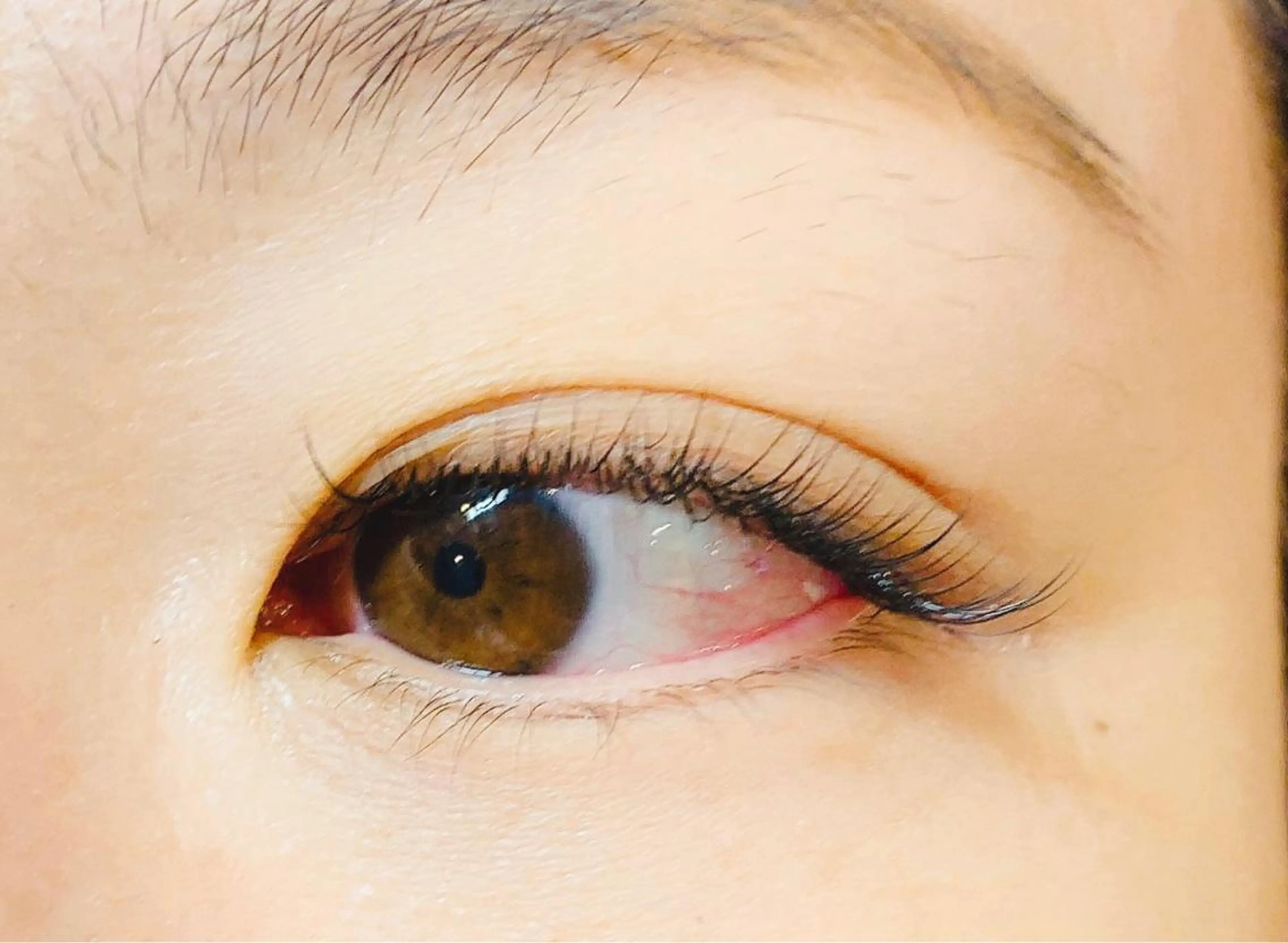 マツエク・マツパ セーブル シルク ステラマリス 〜KIMURA〜のマツエク・マツパデザイン