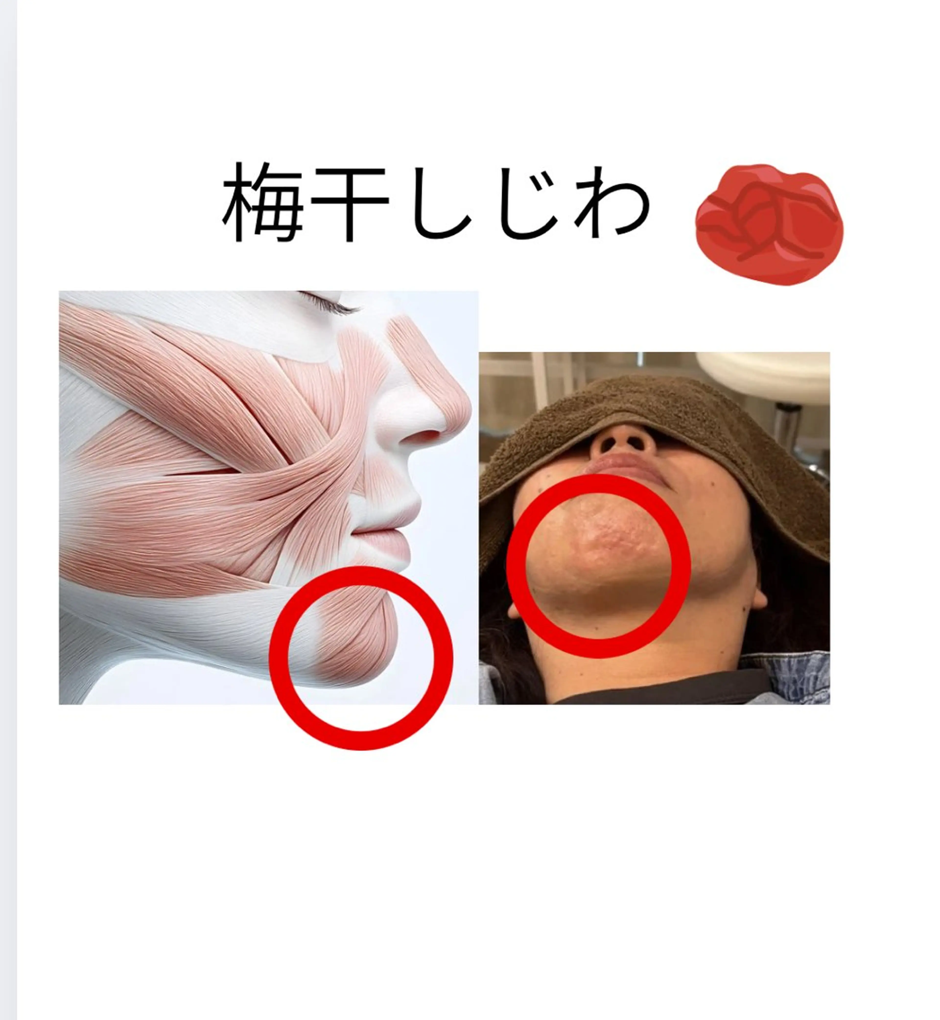 パーソナルカラー骨格 診断✖️ボディメイクのその他イメージ
