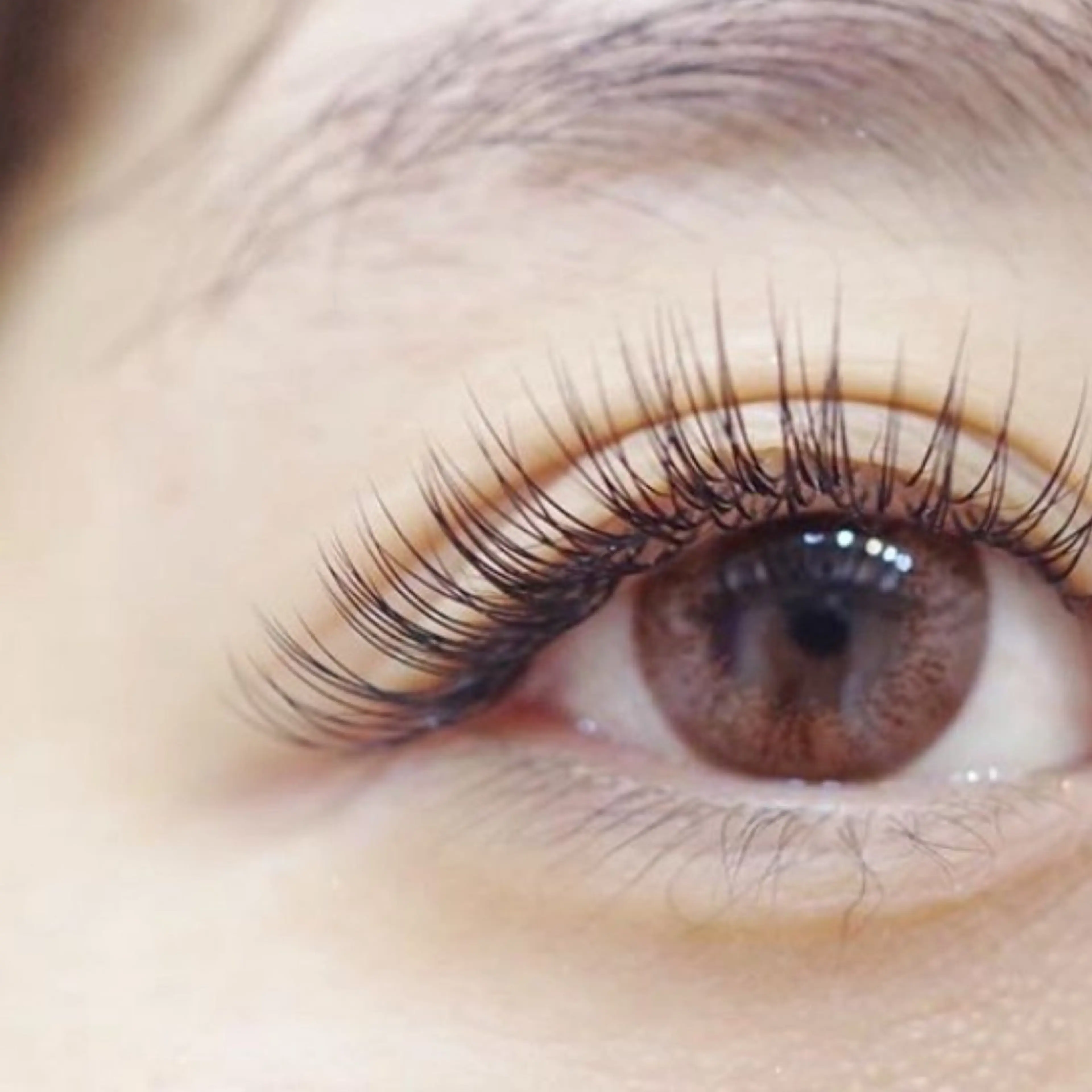 ボリュームラッシュorメガフラットラッシュ100束🌻 （オフ込み）の写真