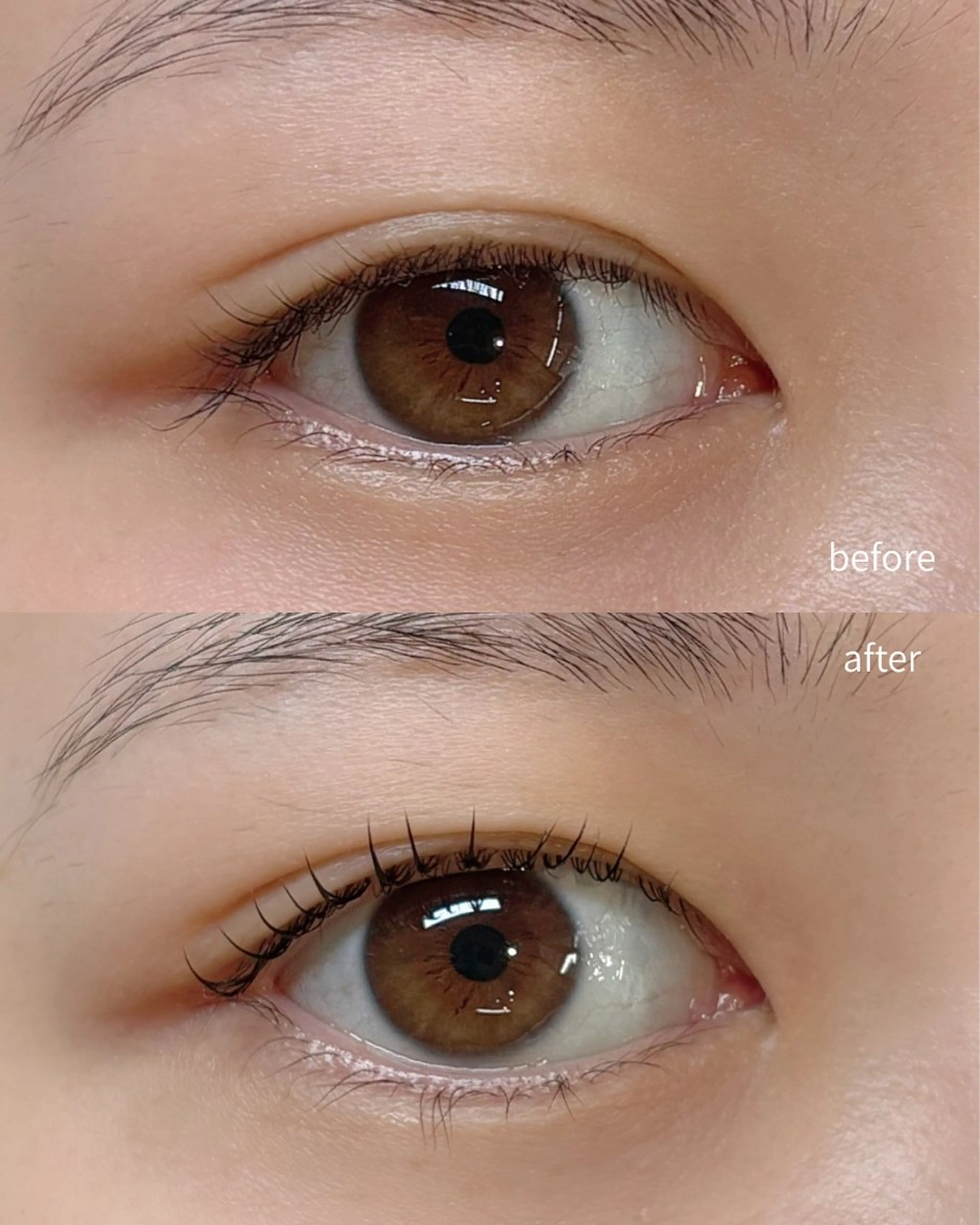 マツエク・マツパ マツパ SLASH eye 繁田🧸🌈のマツエク・マツパデザイン