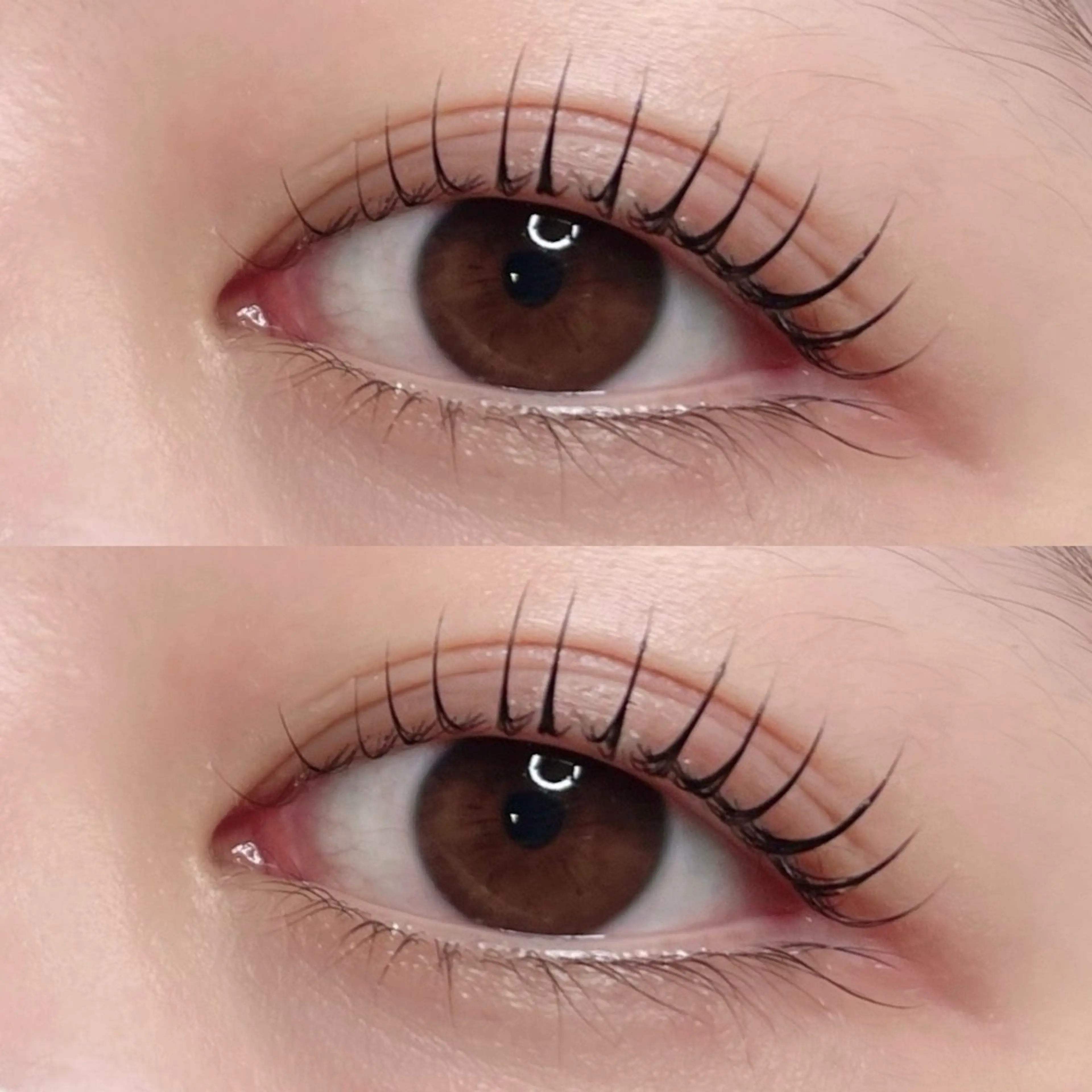 ラッシュリフト/パリジェンヌラッシュリフトの写真