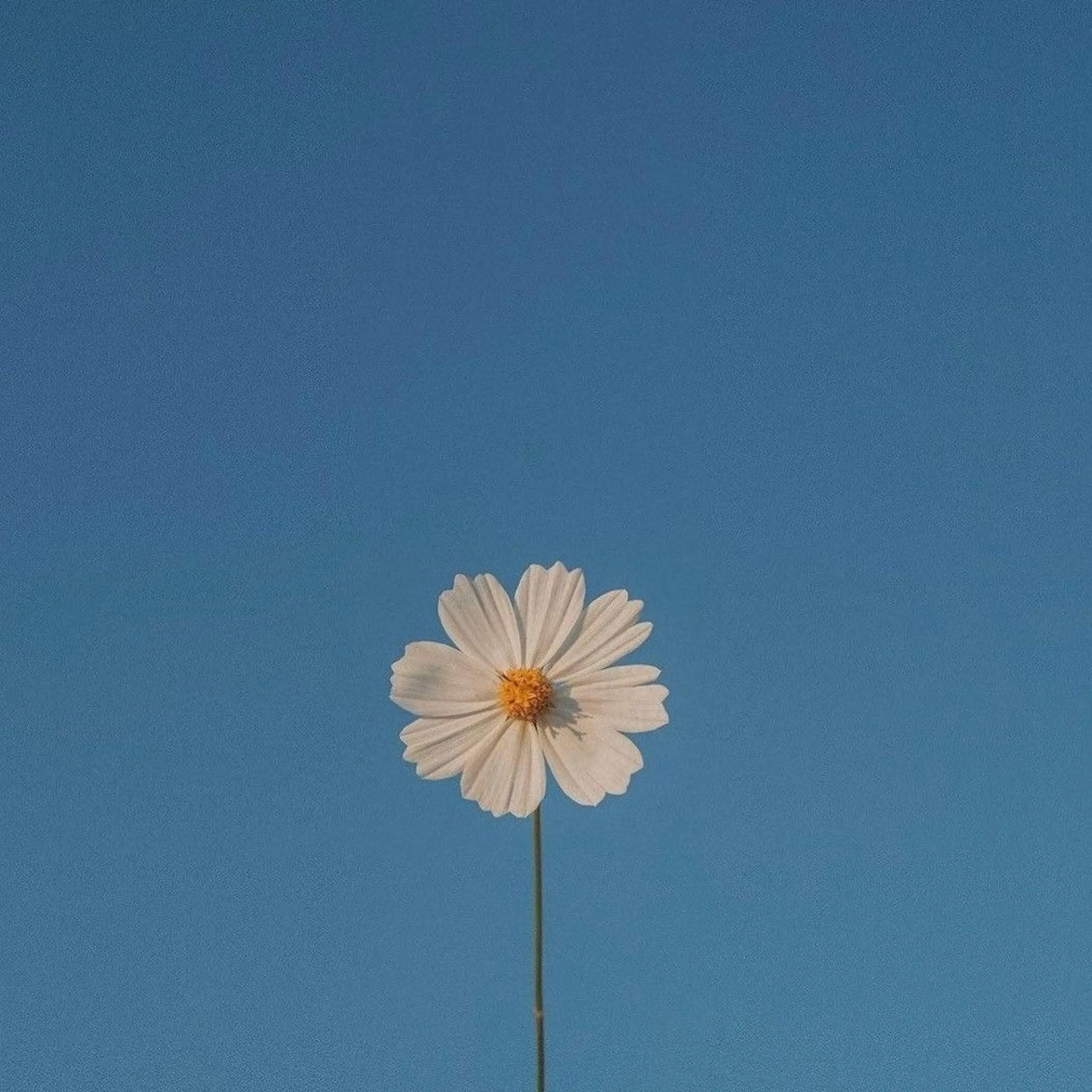 ネイル mowa 🌿‬ kanaのネイルデザイン