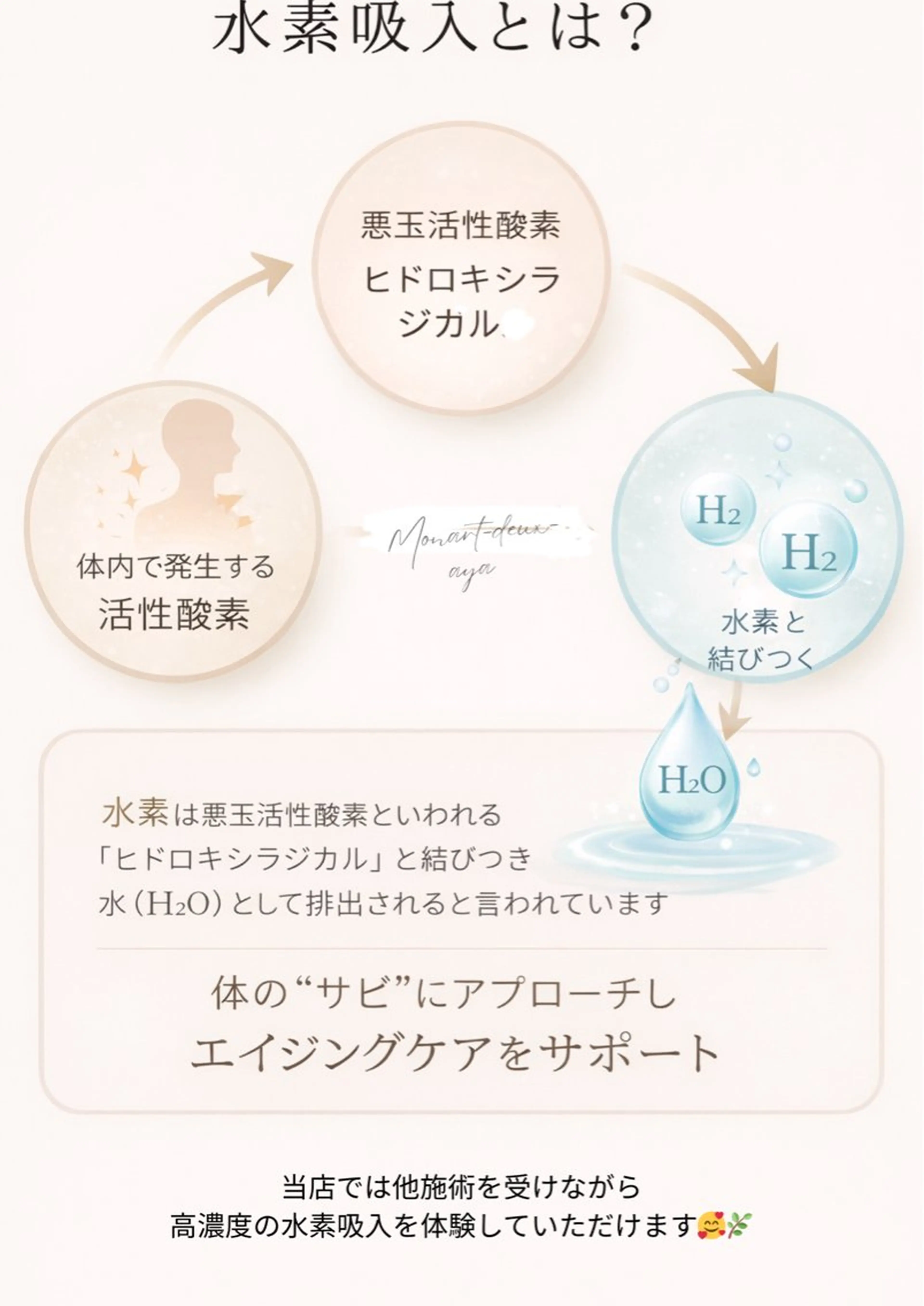 Monart_aya ･:*+.のその他イメージ