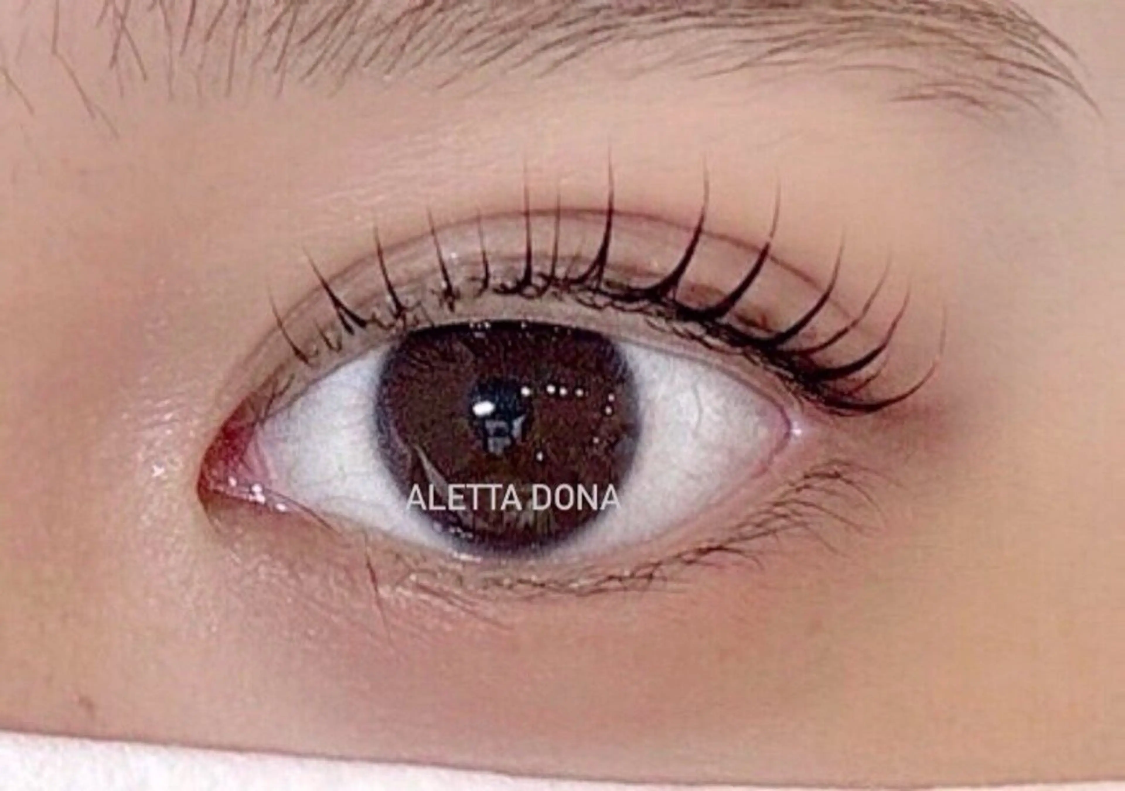 SNSで話題の韓国式マスカラパーマ！の写真