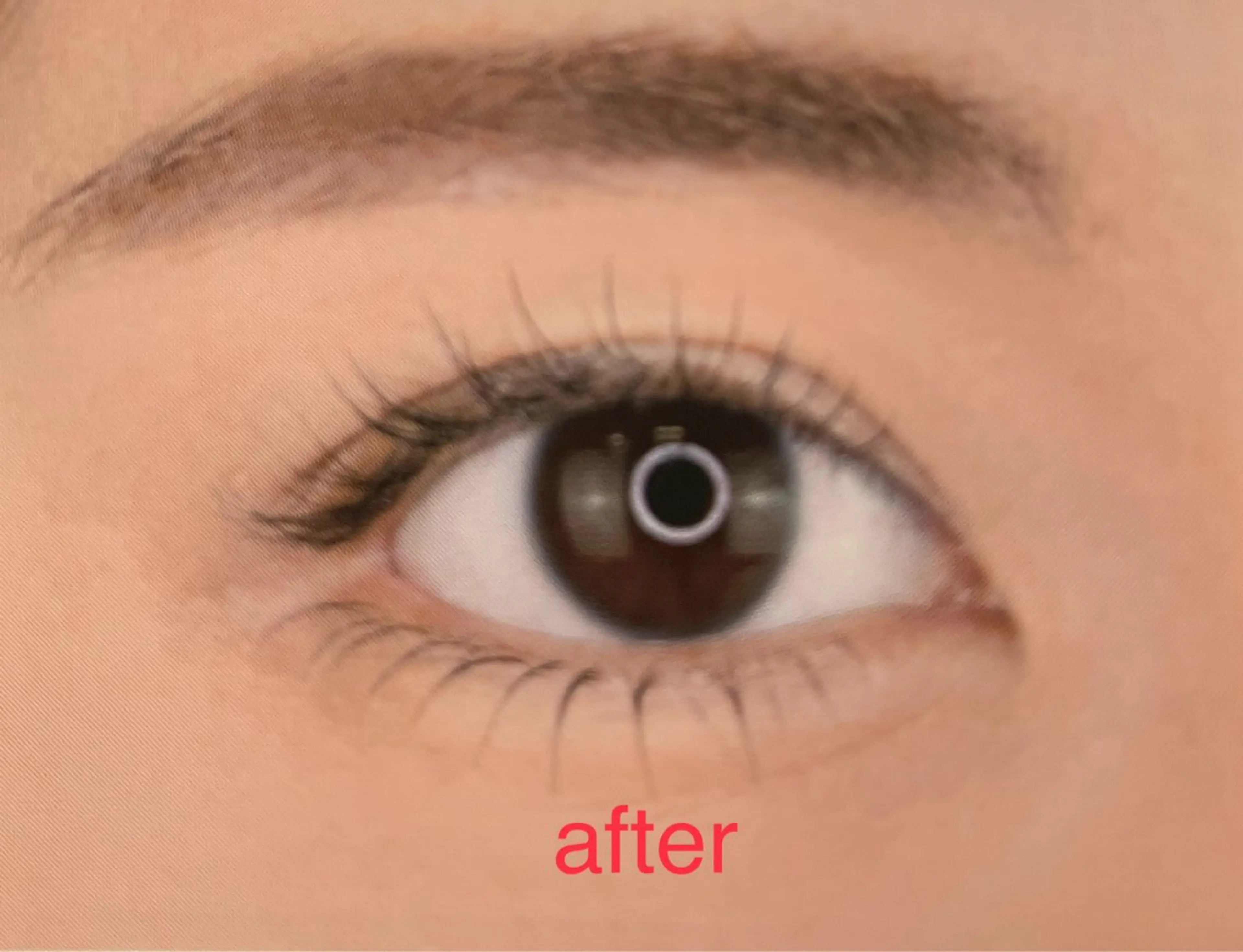 マツパ(上下)の写真