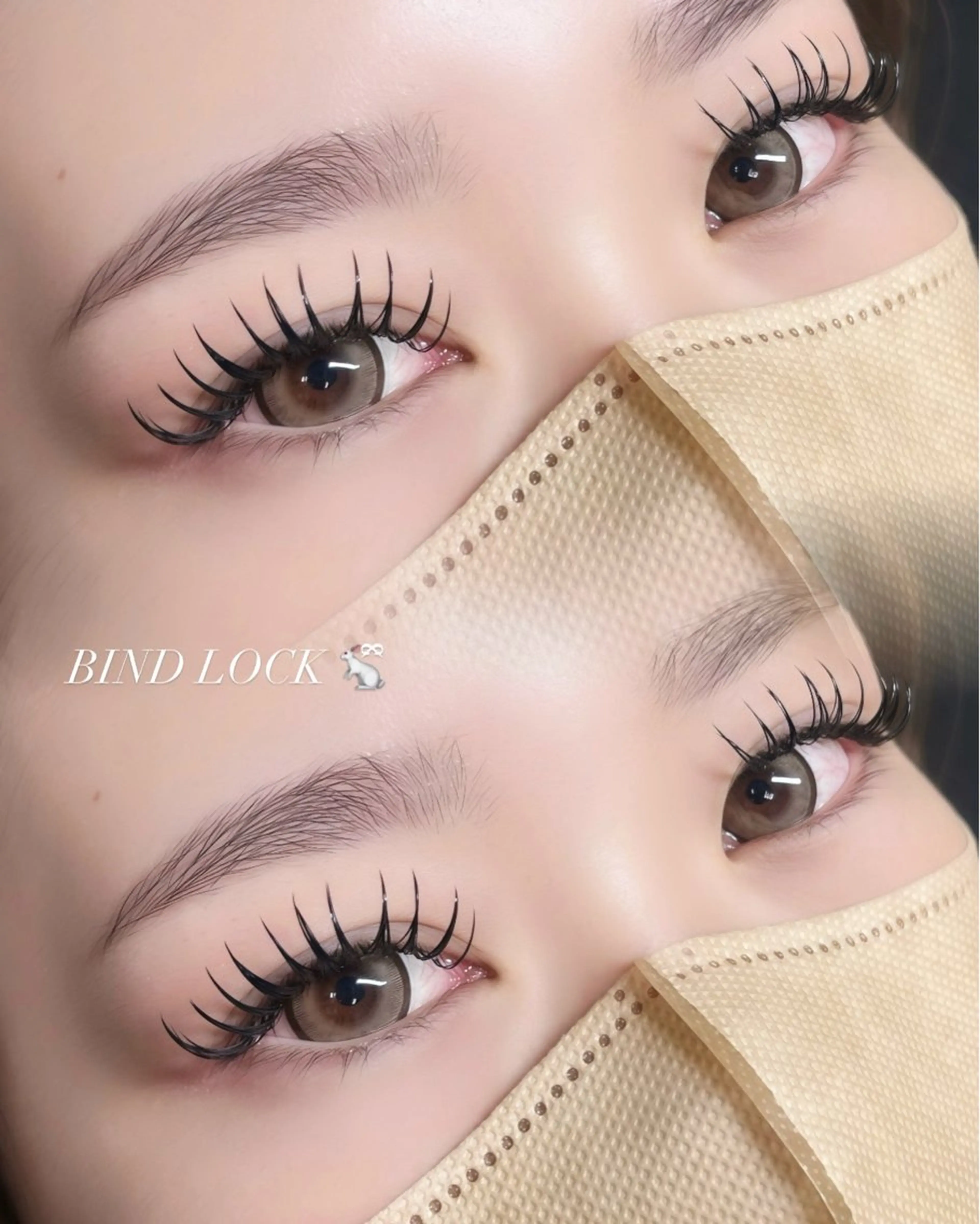 LEDバインドロック120束　オフ込みの写真