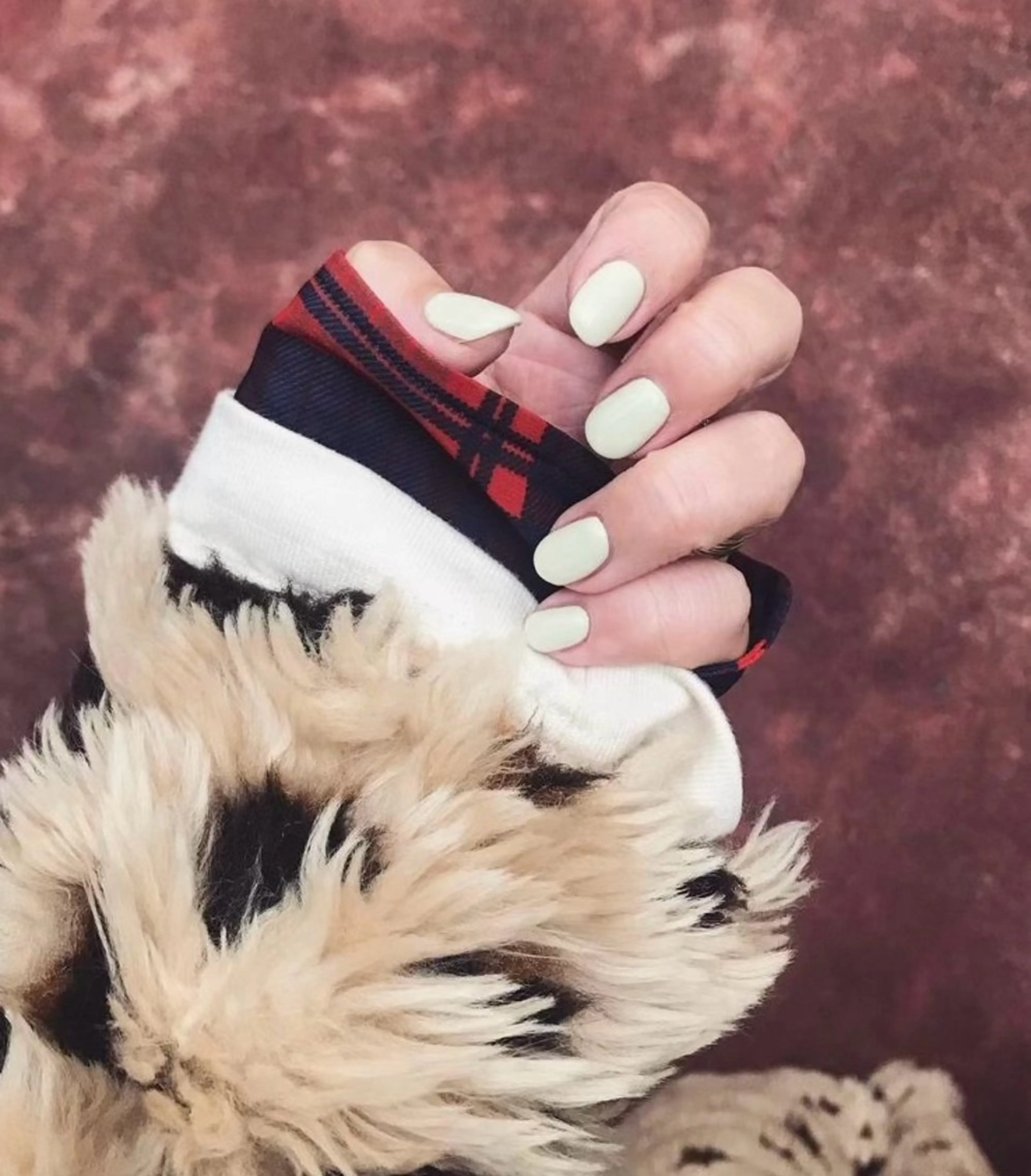 ネイル ネイルパレス【デザ イン/恵比寿】のネイルデザイン