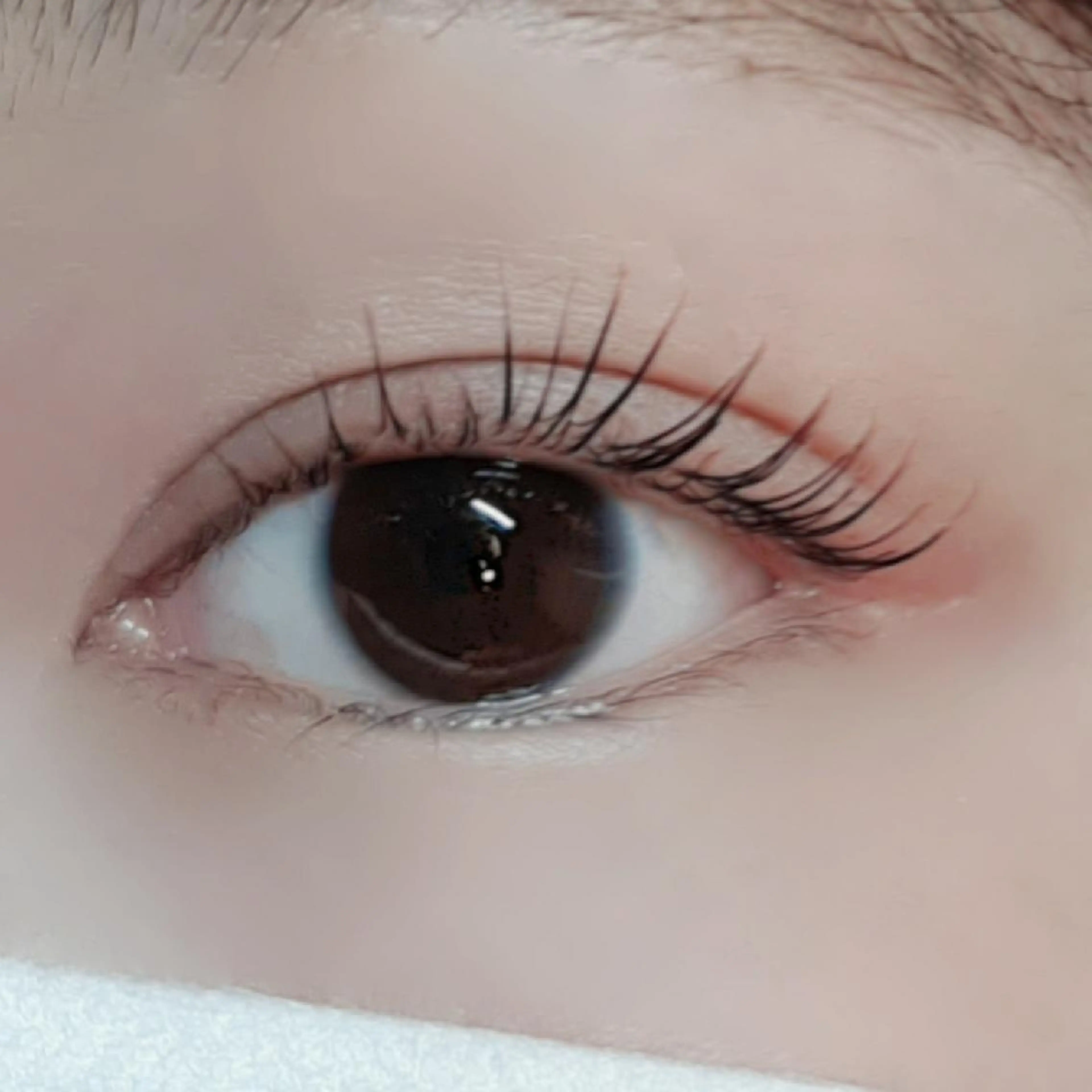 マツエク・マツパ 平山 ゆりのマツエク・マツパデザイン