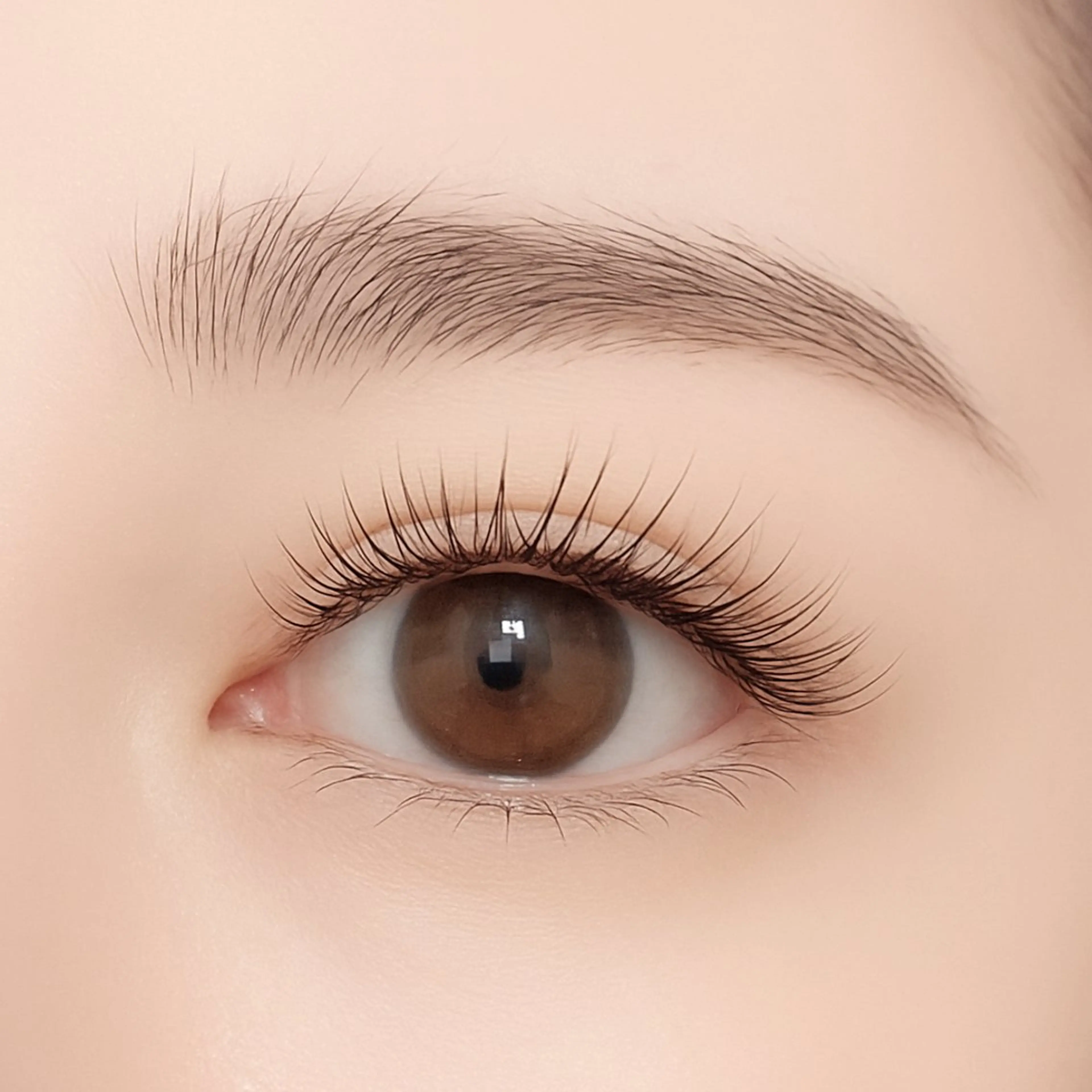 🌺新規🌺フラットラッシュ　両目120本　5700円🌹オフ無料の写真