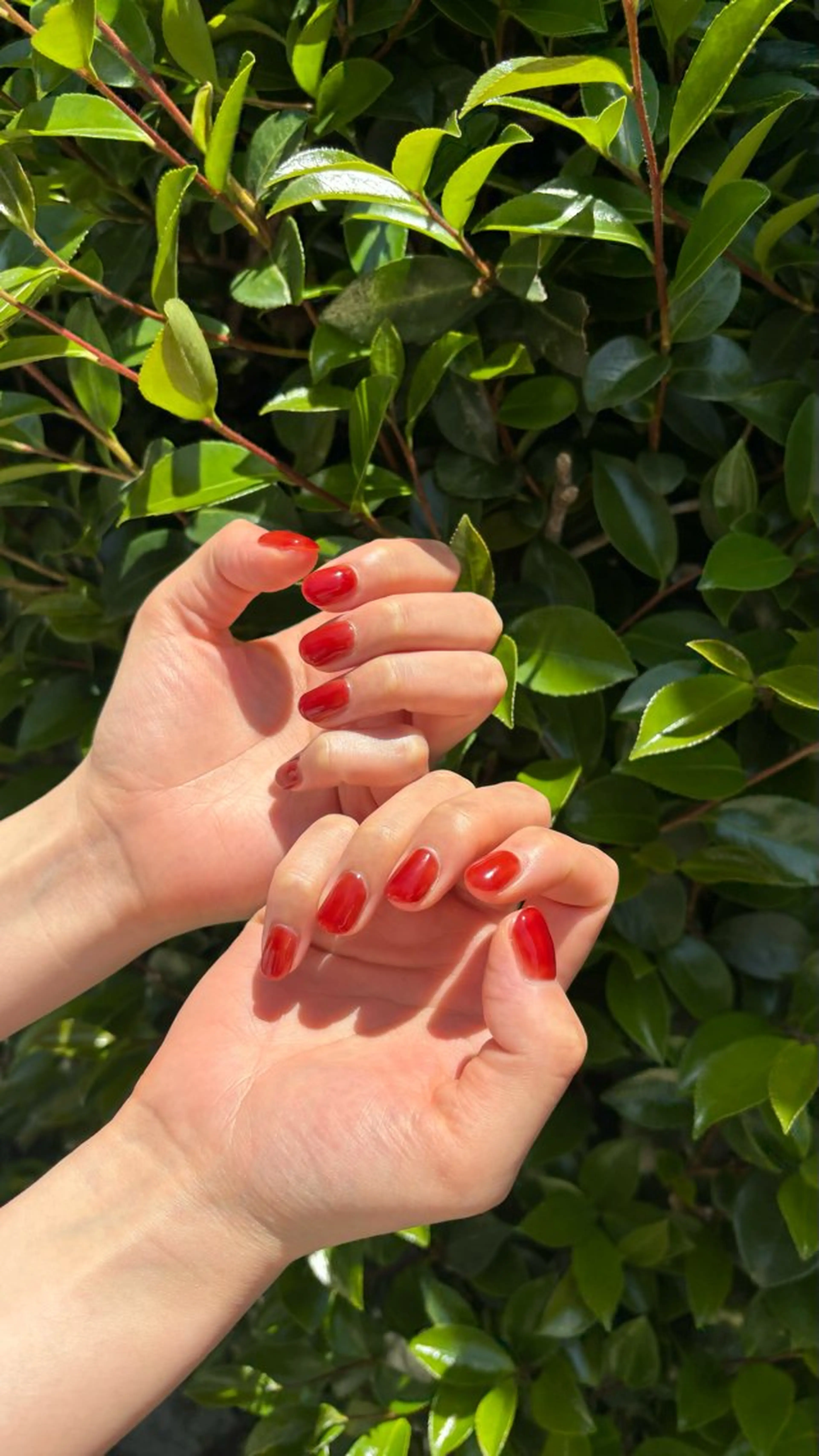 ワンカラー/ラメグラ オフ無しの写真