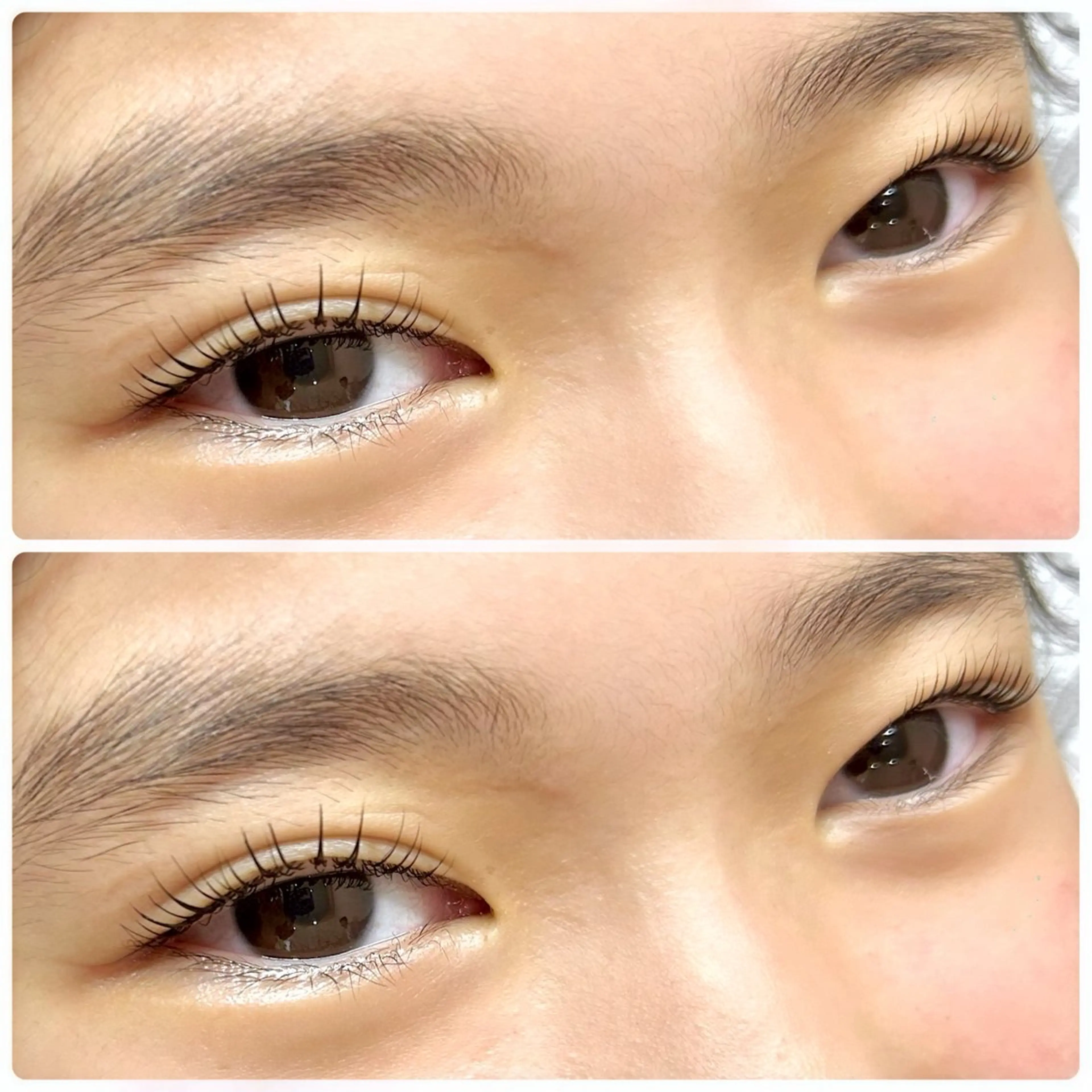 🦄韓国コーティング付き🩷まつ毛パーマ【¥6,160→¥3,000】の写真