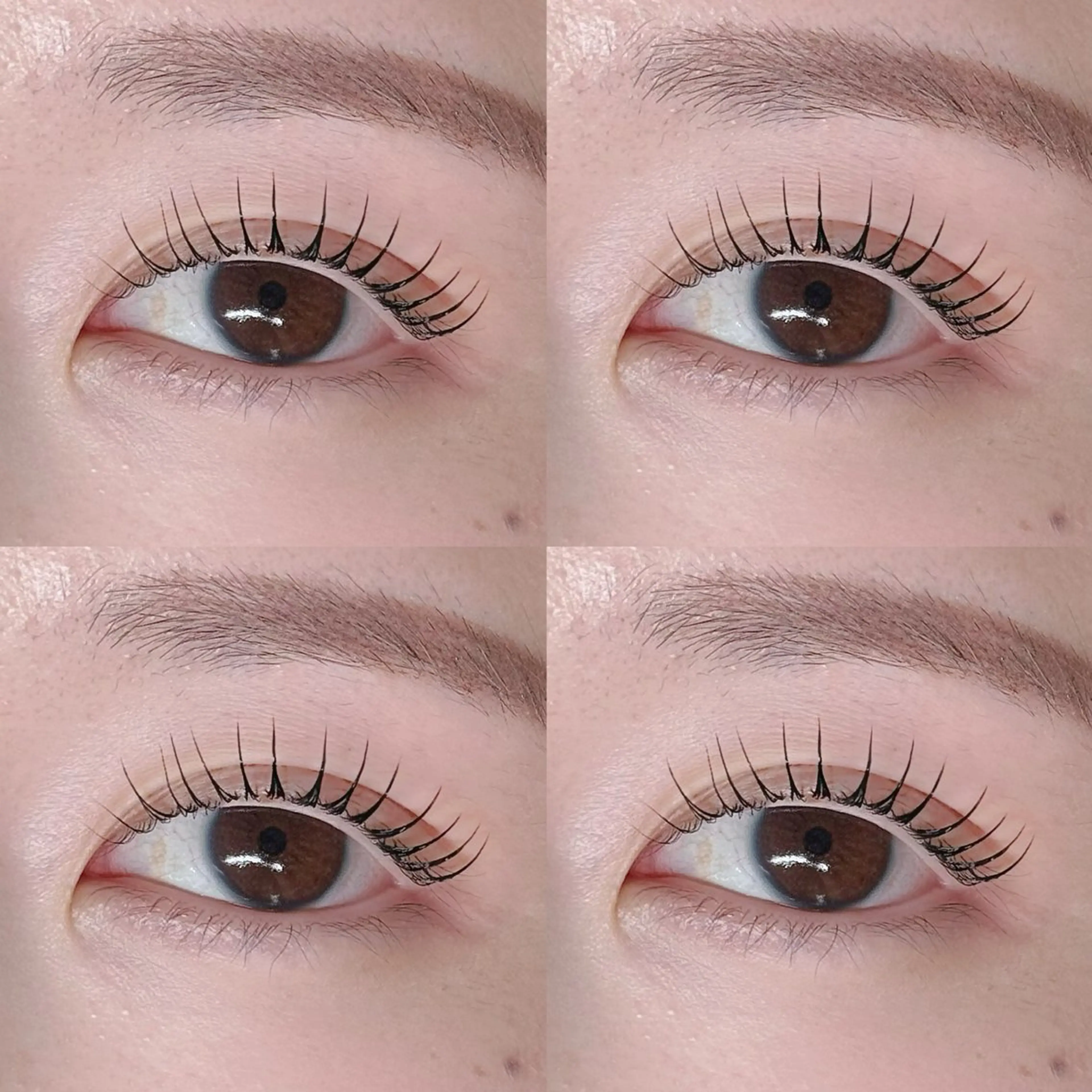 マツエク・マツパ マツパ mignon eye YUKINOのマツエク・マツパデザイン