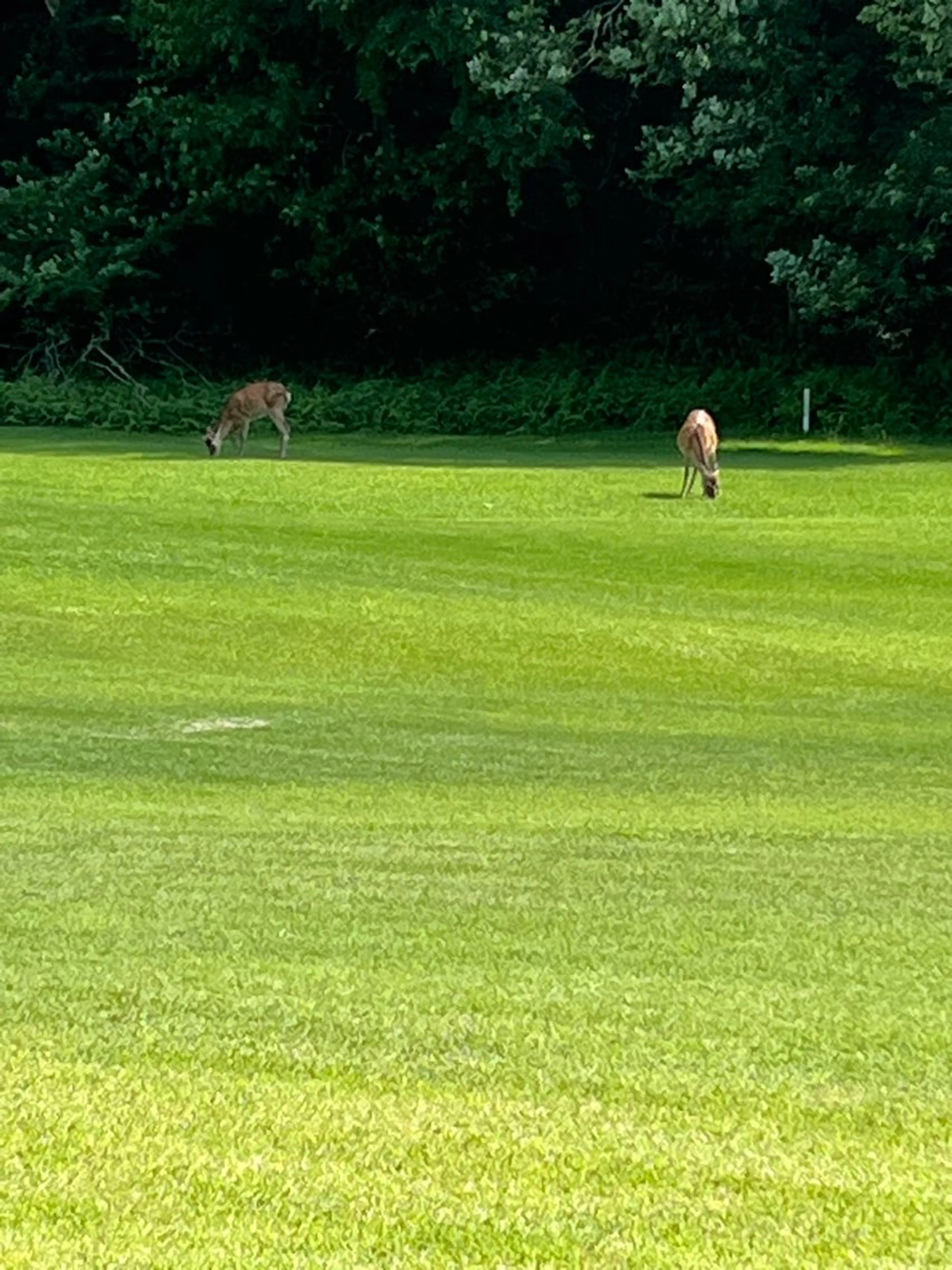 紙屋 隼人のヘアスタイル