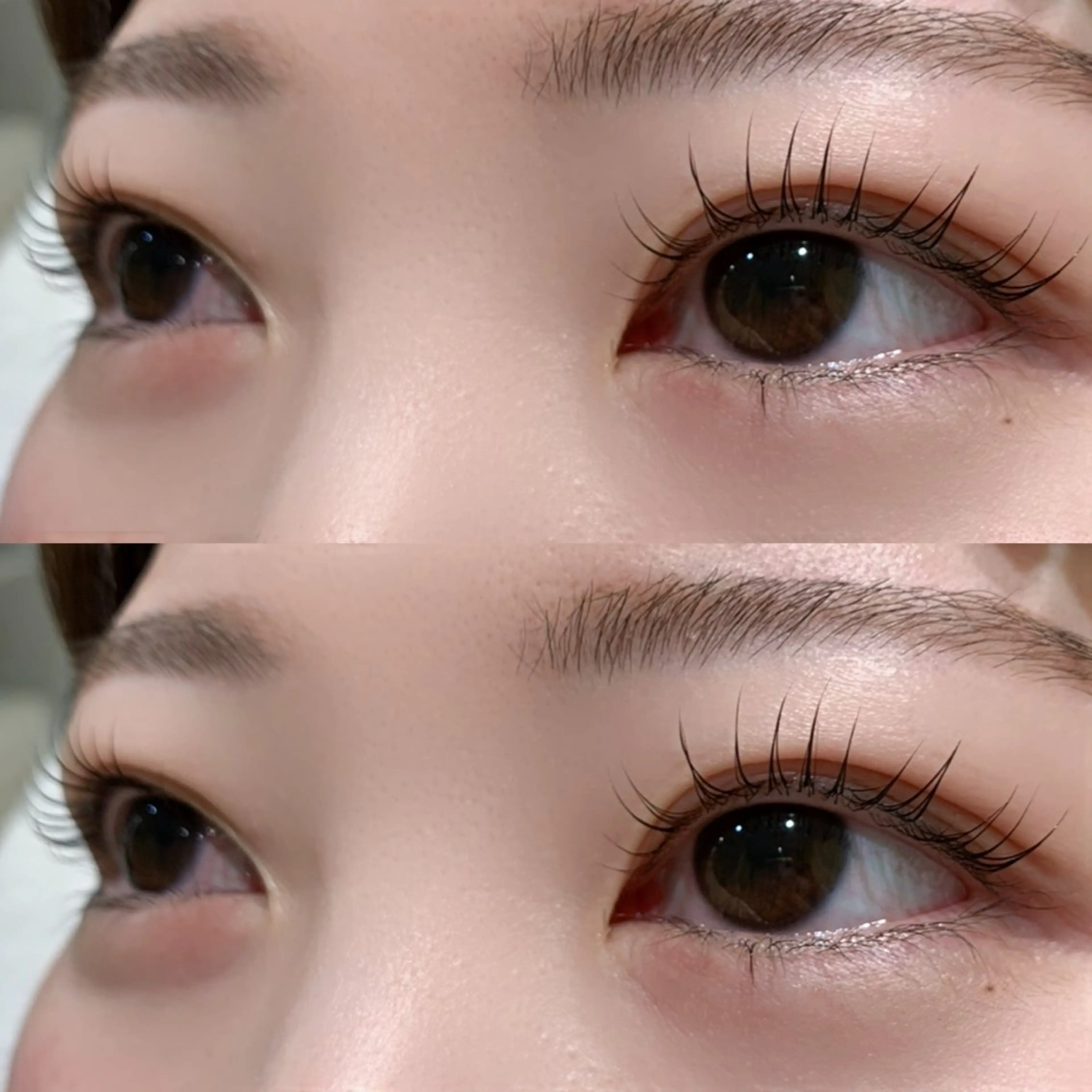 マツエク・マツパ マツパ LiNA🌿藤原 茉莉花のマツエク・マツパデザイン