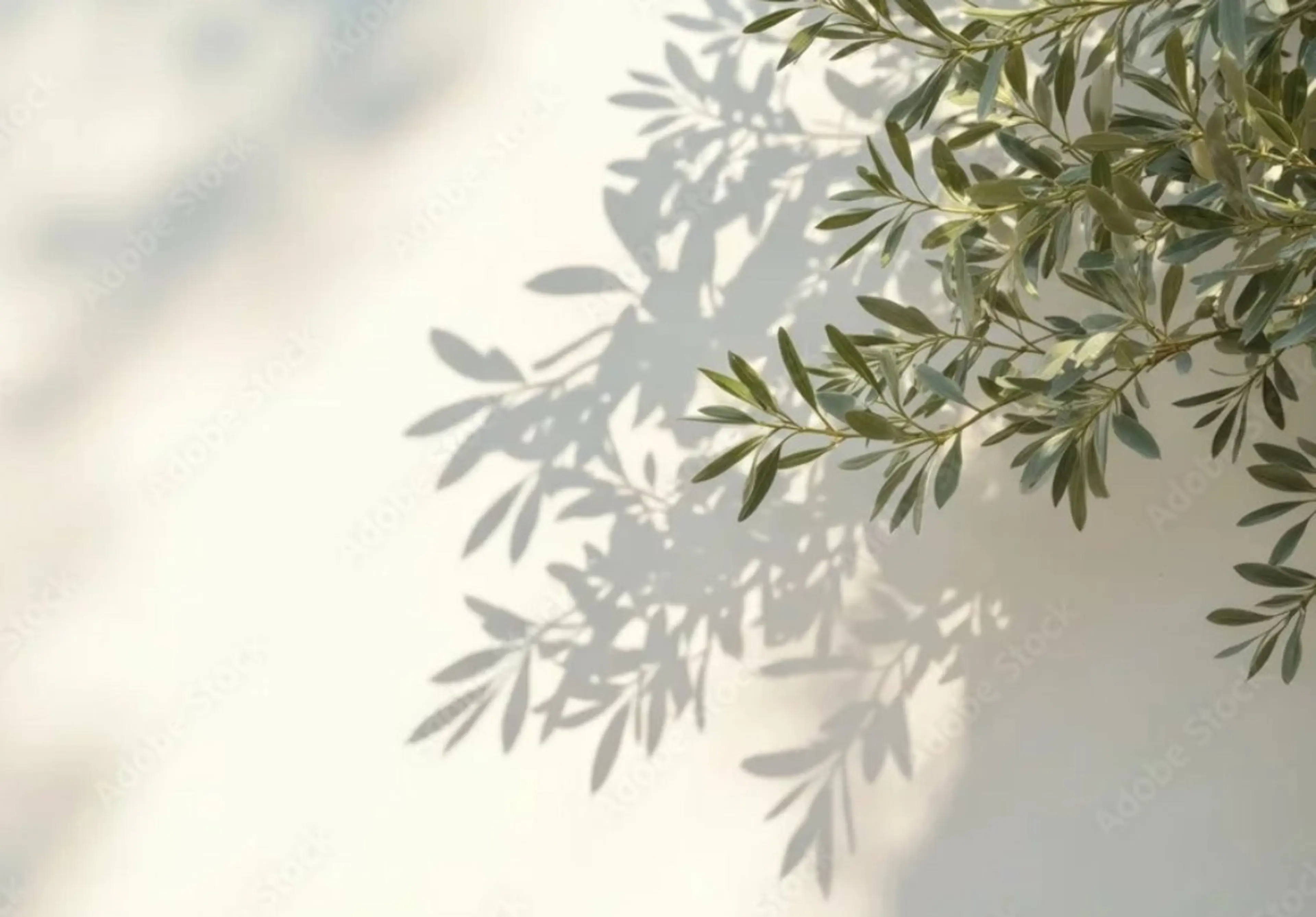 ネイルおやすみコースの写真