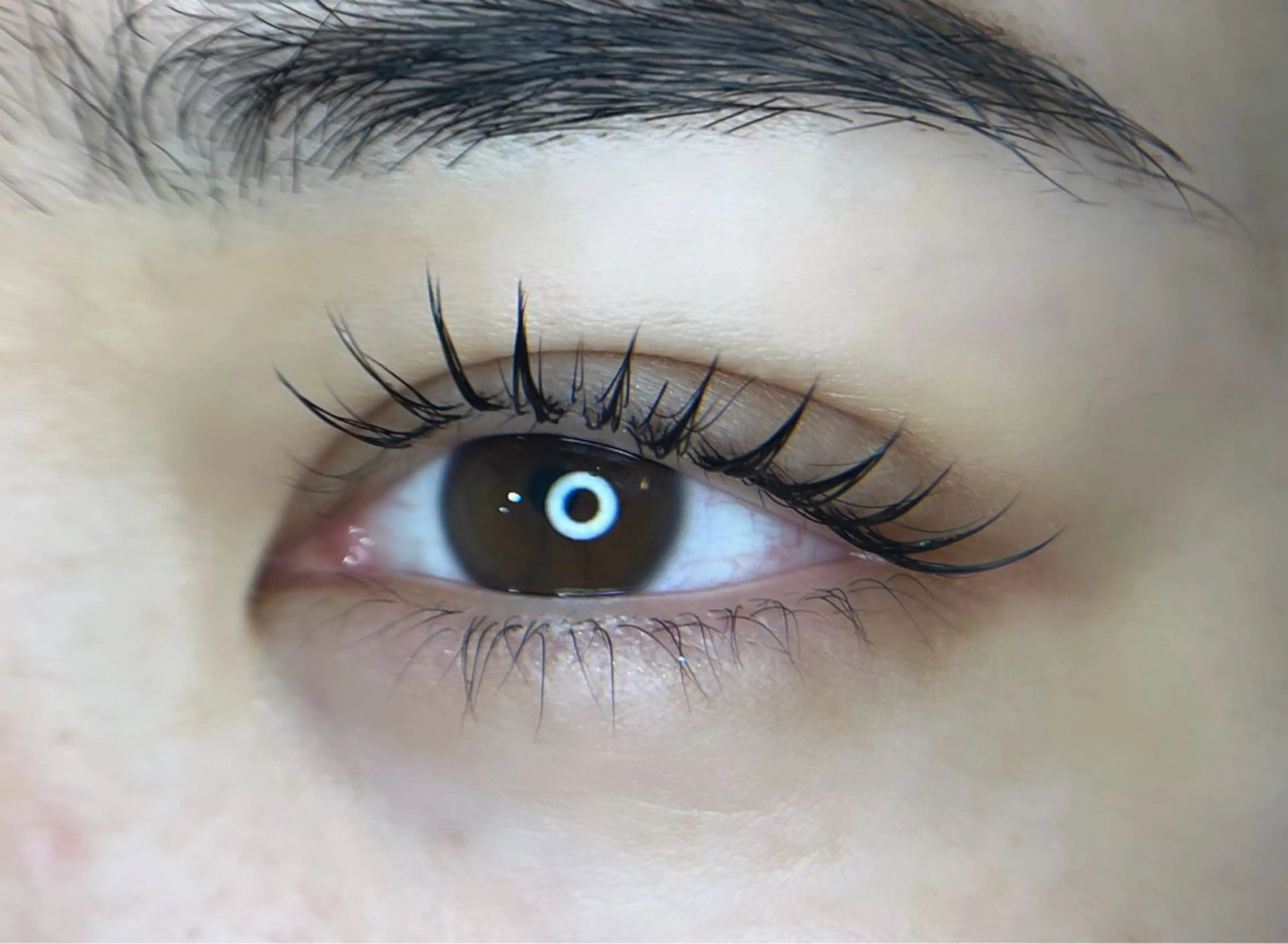 マツエク・マツパ フラットラッシュ Jカール まつげパーマ CERRONE eyelash岩村のマツエク・マツパデザイン