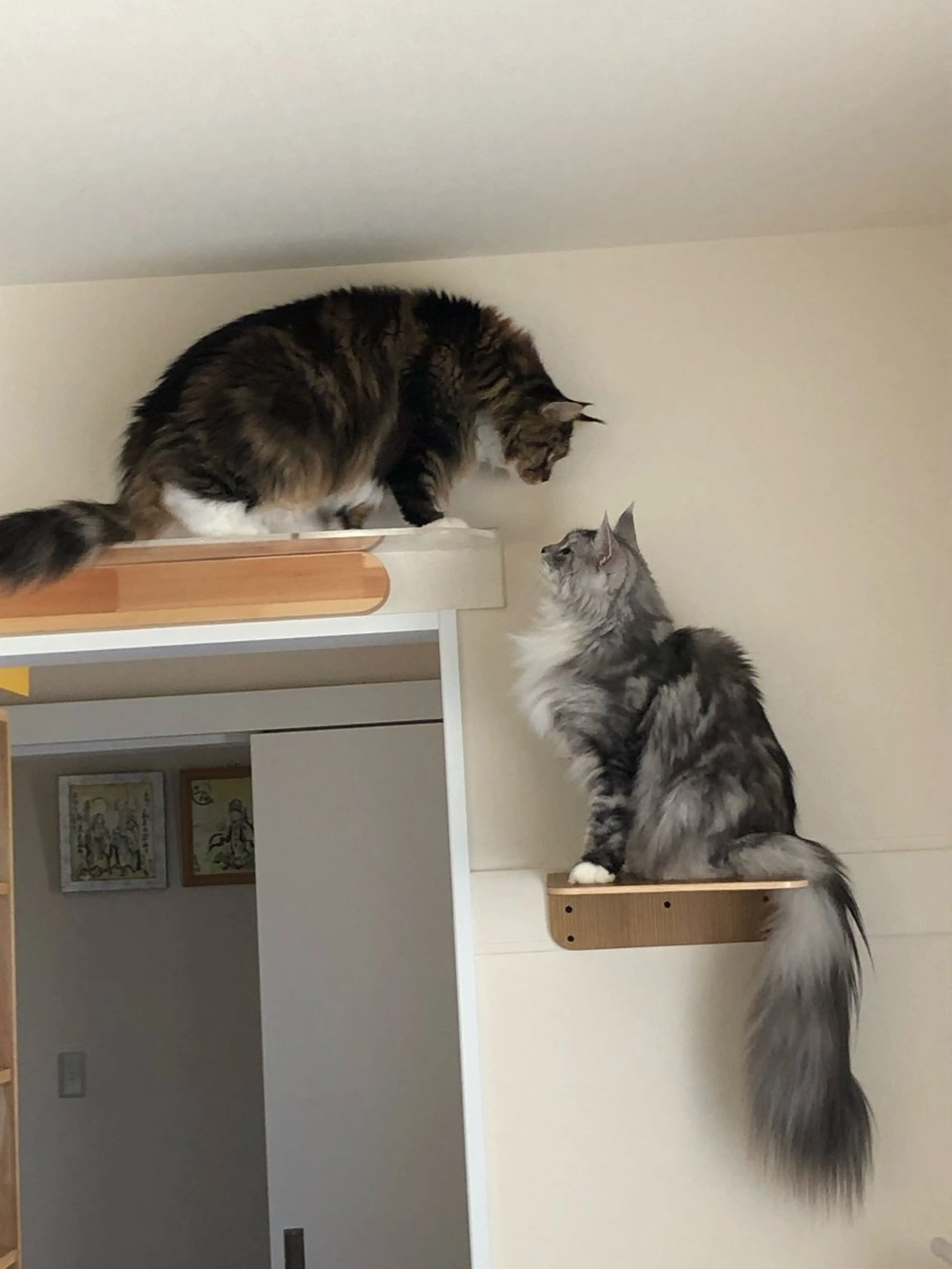 エステ リラク SBHメディカル美容サロン所属・🐱美容鍼・整体 SBHメディカル👍のエステ・リラクイメージ