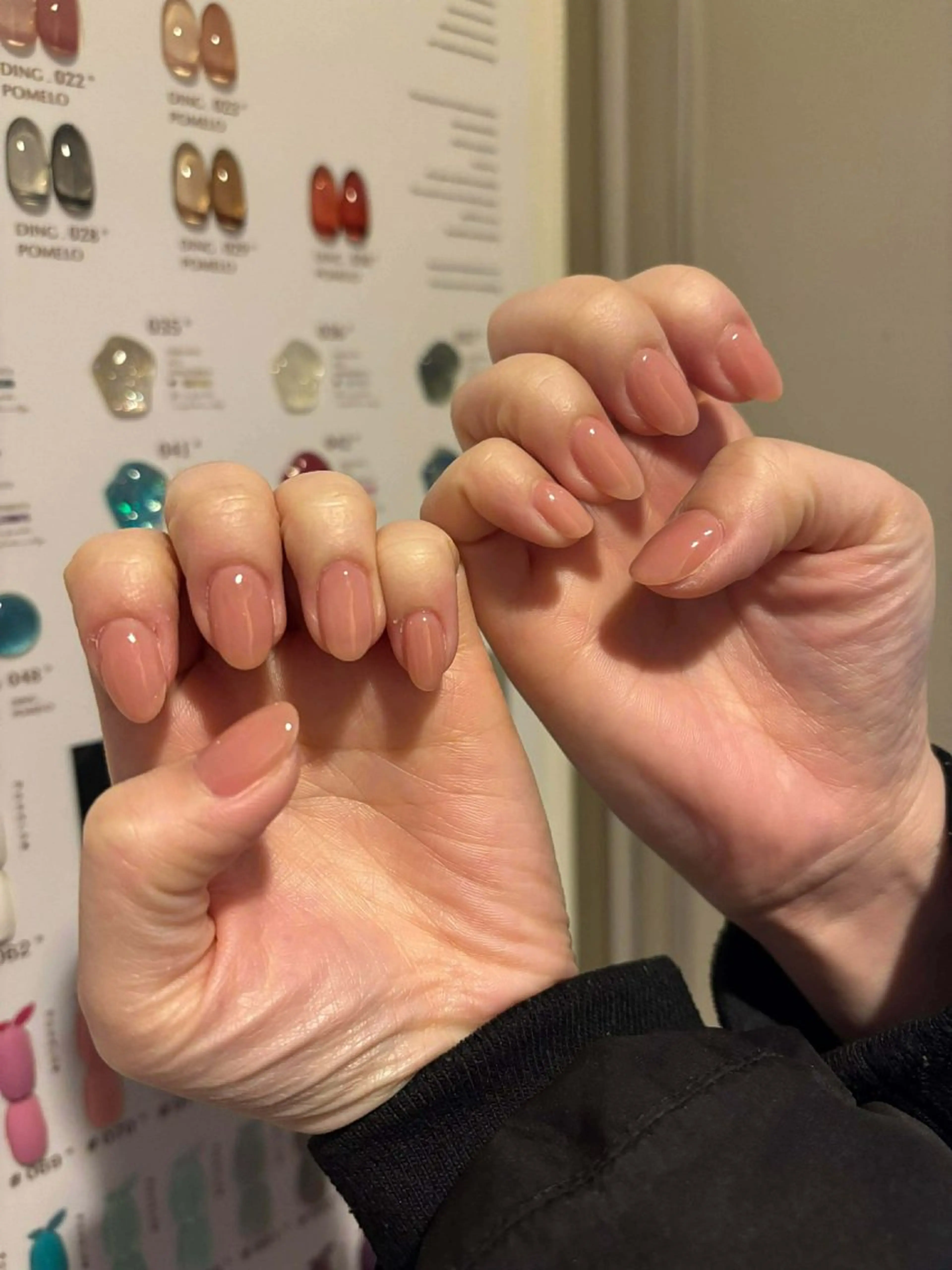 ネイル 韓国ネイル 持ち込み ニュアンスネイル ネイルチップ 冬ネイル LISA ANA.CHUOのネイルデザイン