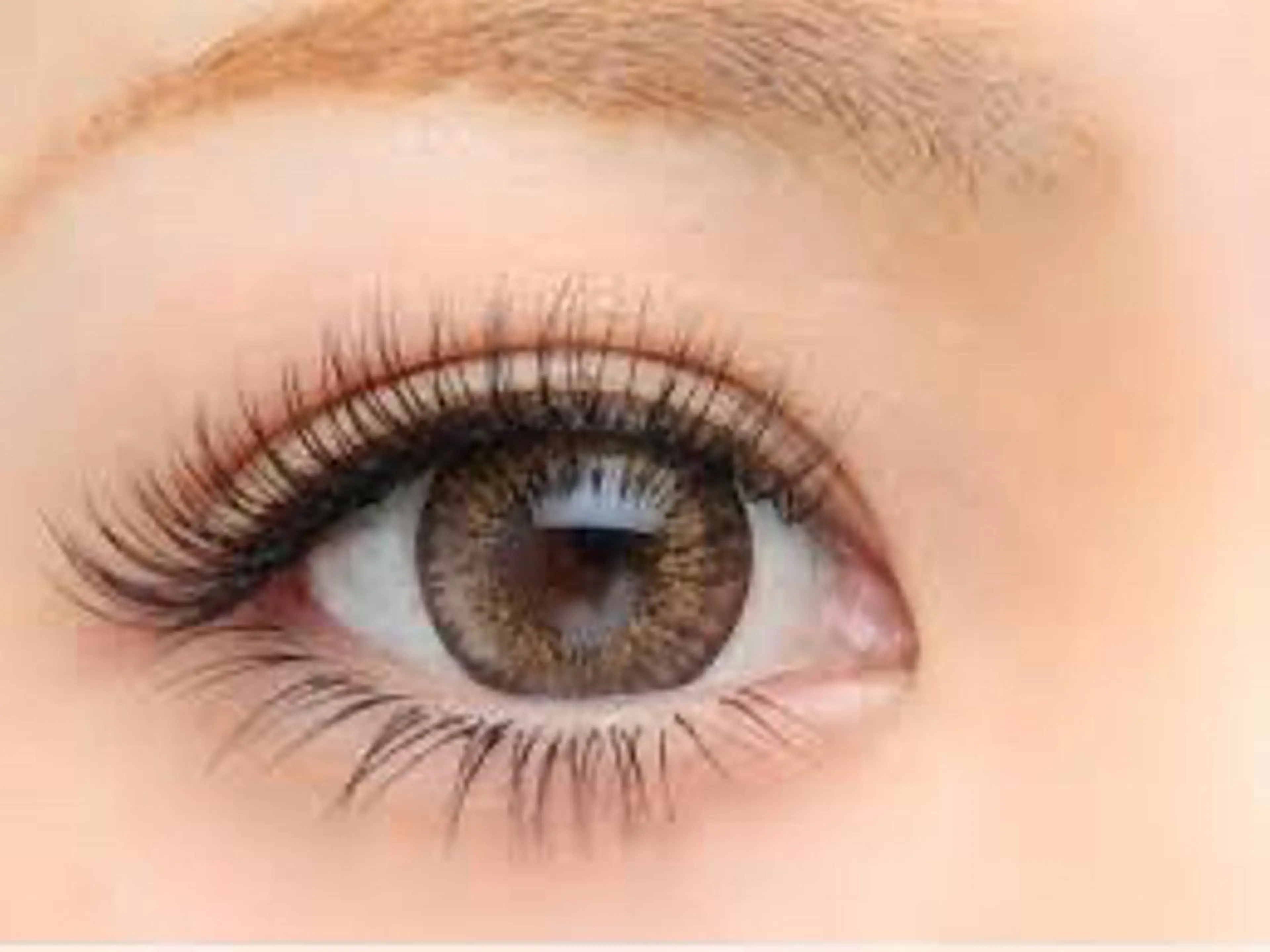 マツエク・マツパ 付け放題 t uttiのマツエク・マツパデザイン