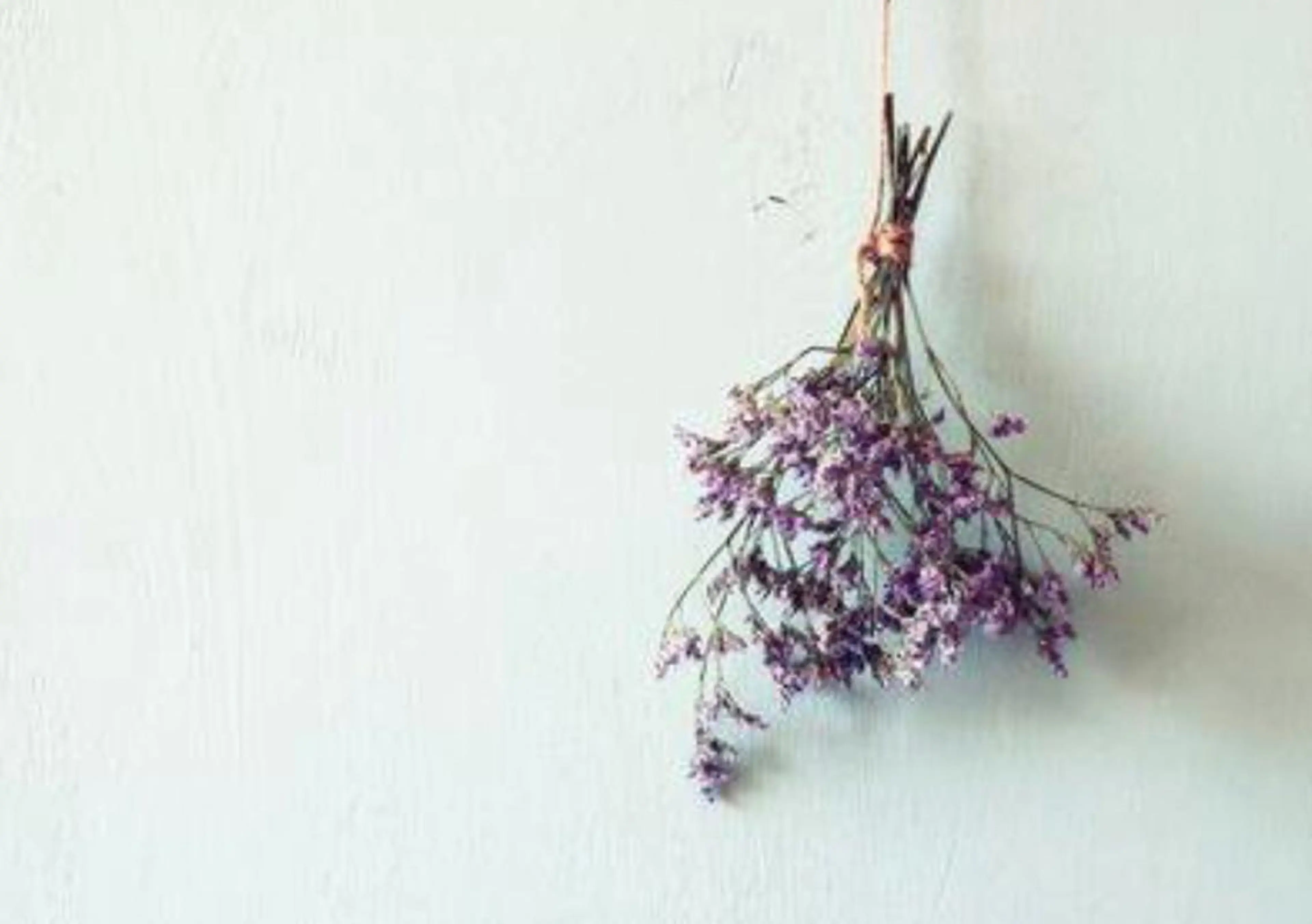 頭痛、肩こり、目の疲れを癒しましょうリフレッシュヘッドスパの写真