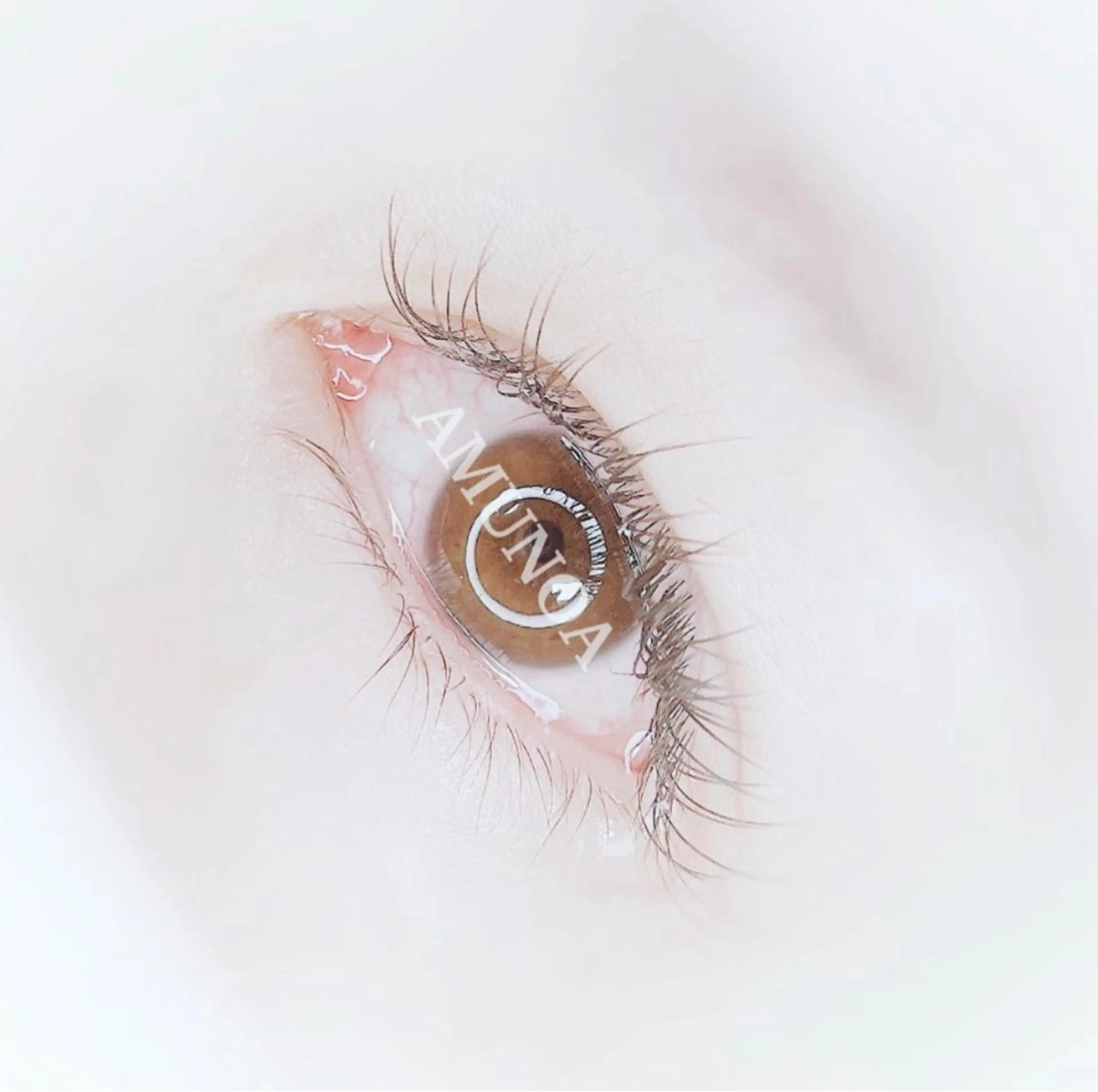 マツエク・マツパ マツエク 美容室 AMUNOAのマツエク・マツパデザイン