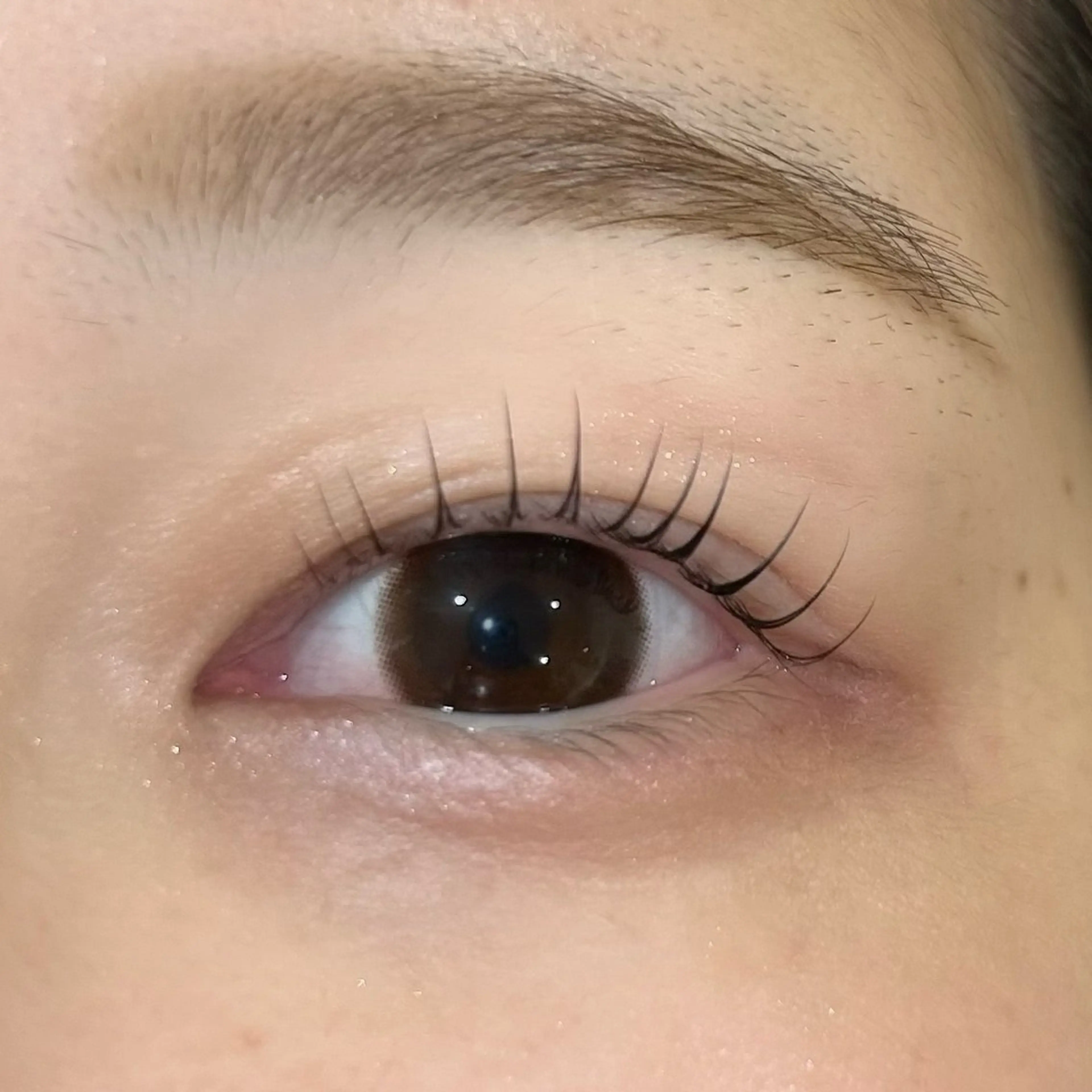 ラッシュリフト(まつげパーマ)🌟の写真