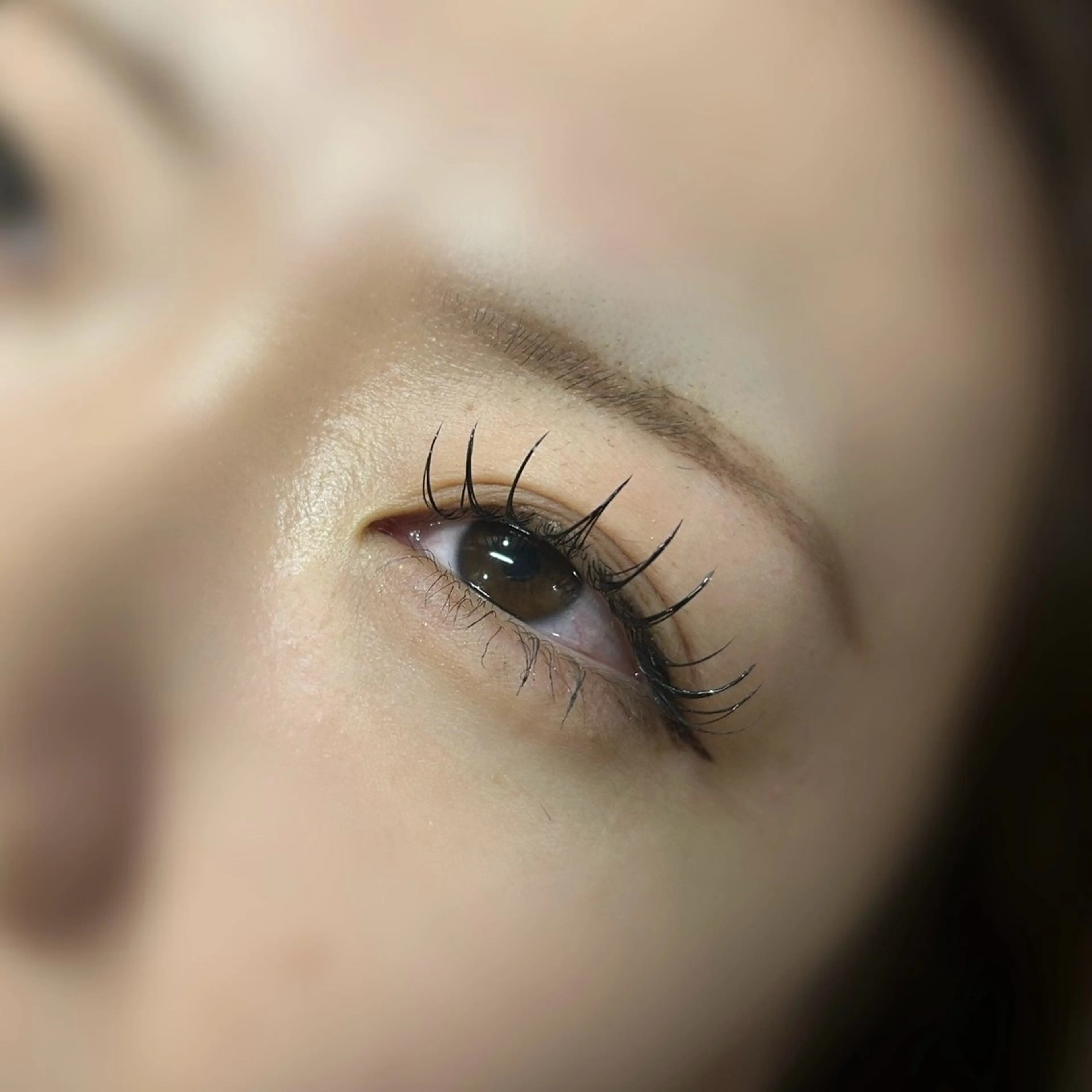 フラットラッシュ140本の写真