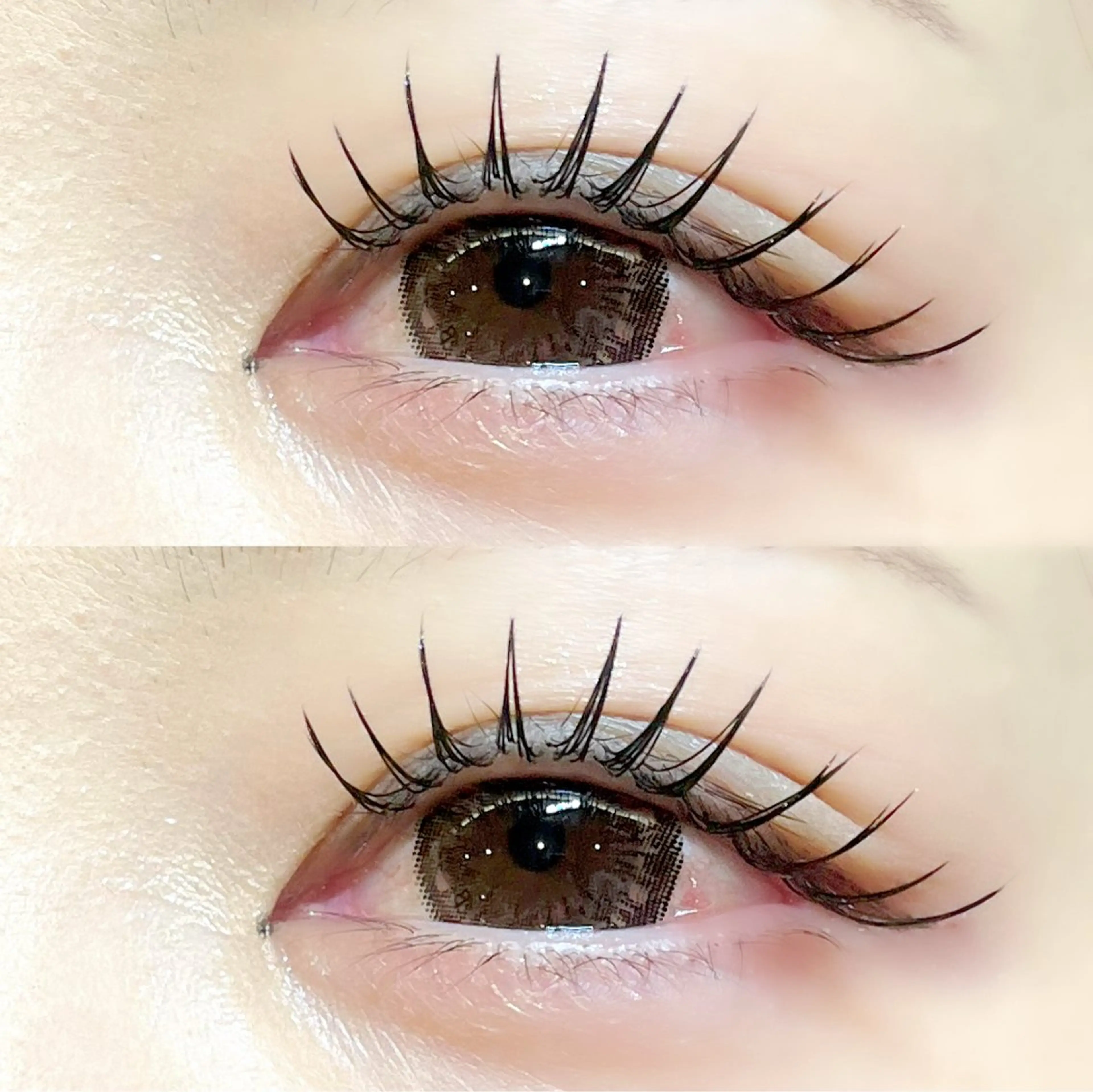 当日限定❣️［🪸最高級毛質‼︎フラットラッシュ 120本🪸］＋仕上げコーティング付き✨️初回オフ無料🫧の写真