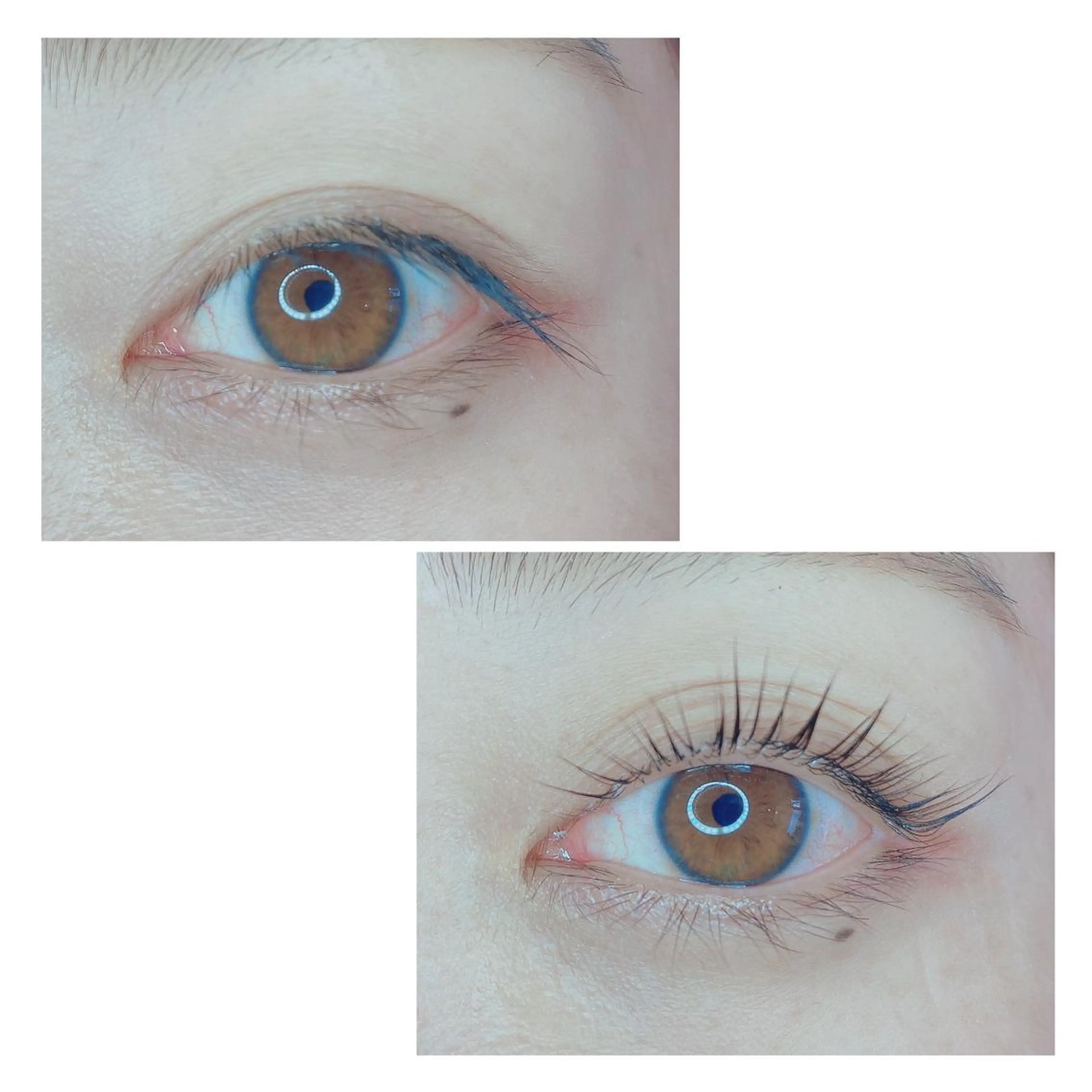 マツエク・マツパ TIARA池袋西口店 店長YASUKA💐のマツエク・マツパデザイン