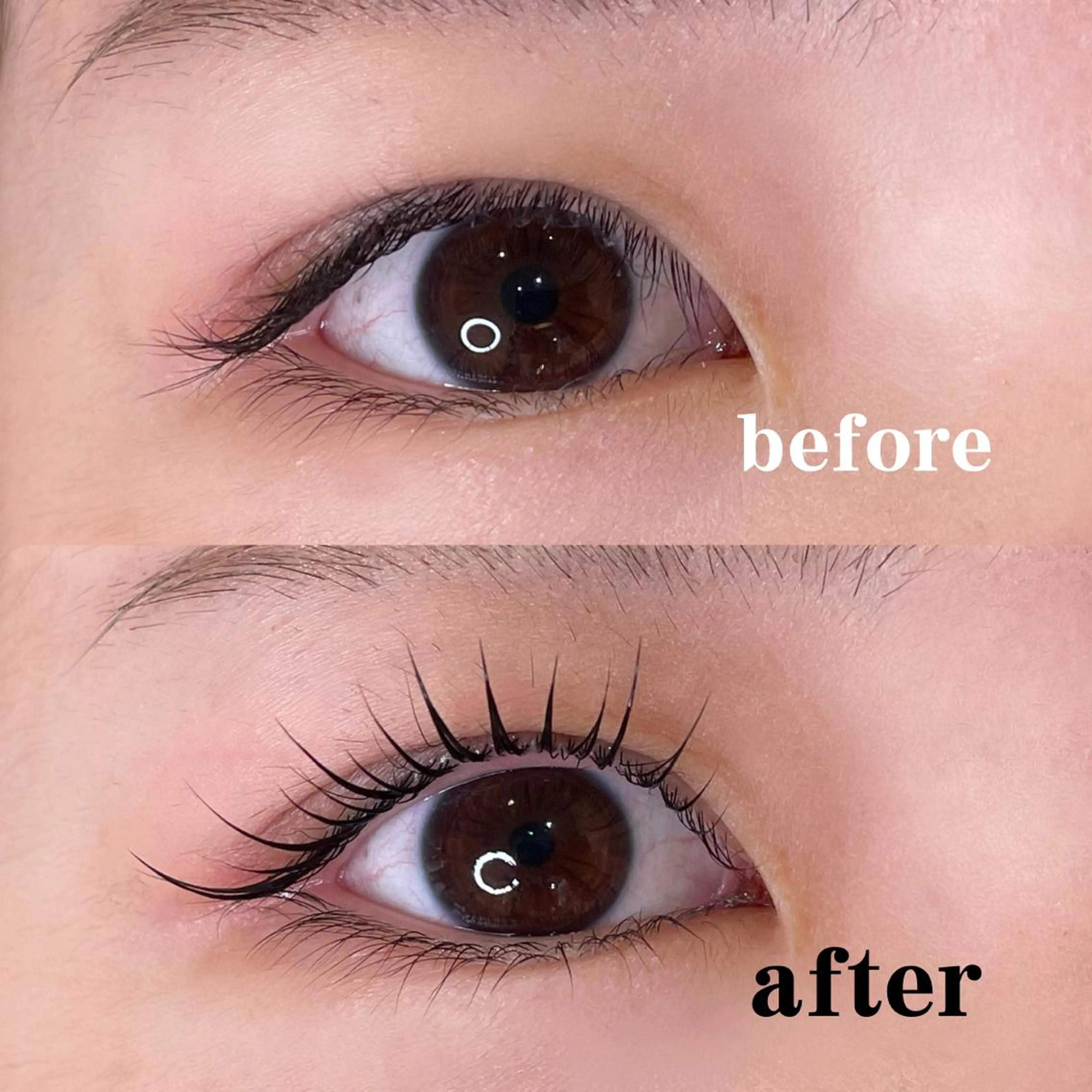 上まつ毛パーマ/まつ毛を長く綺麗に保つ為に必要なシャンプーとトリートメント2種類込み♡¥6000→¥4500の写真