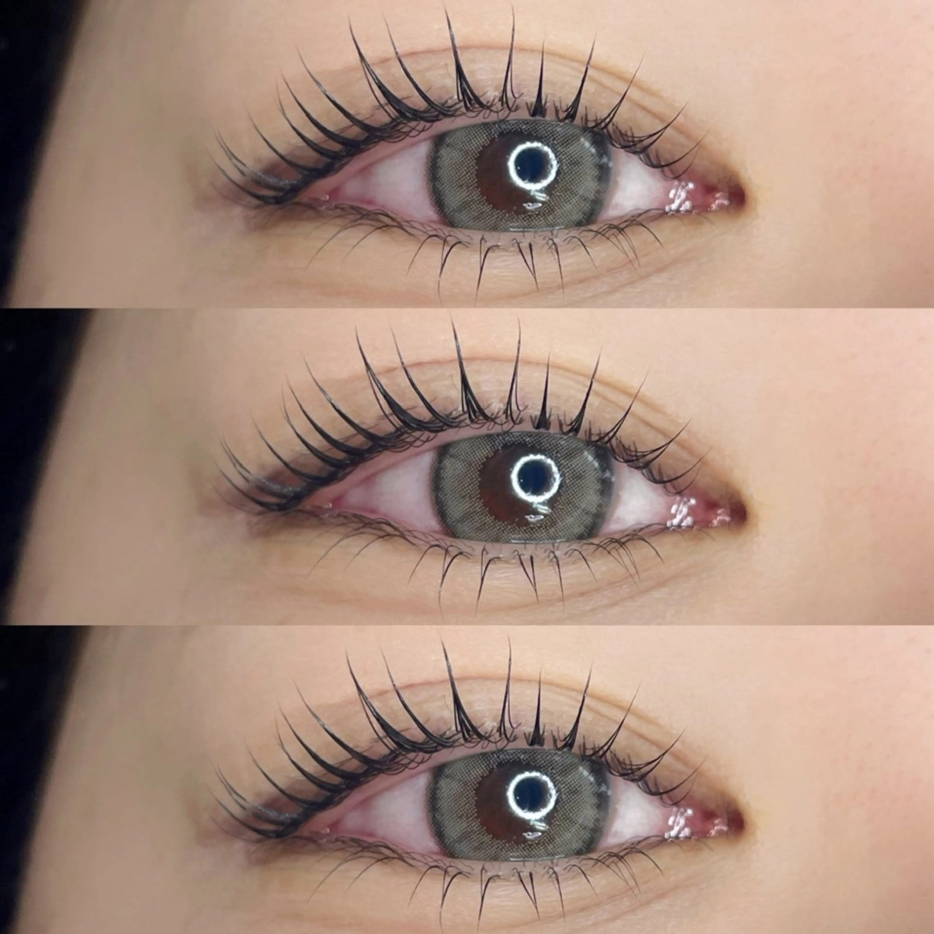 マツエク・マツパ マツパ SSINSTUDIO 𝑴𝒊𝒉𝒐🦋のその他イメージ