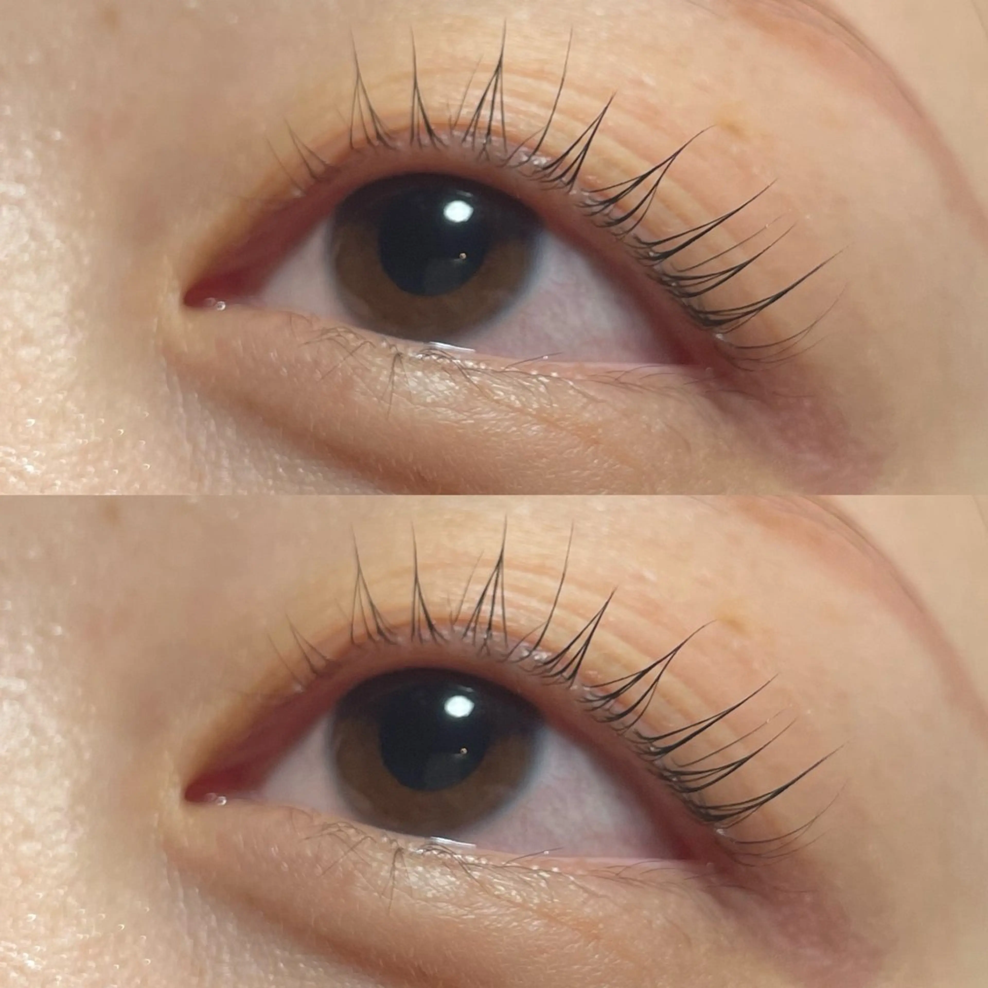 【ご新規様限定💫】Cカールデザイン🪄🎀コーティング付🎀の写真