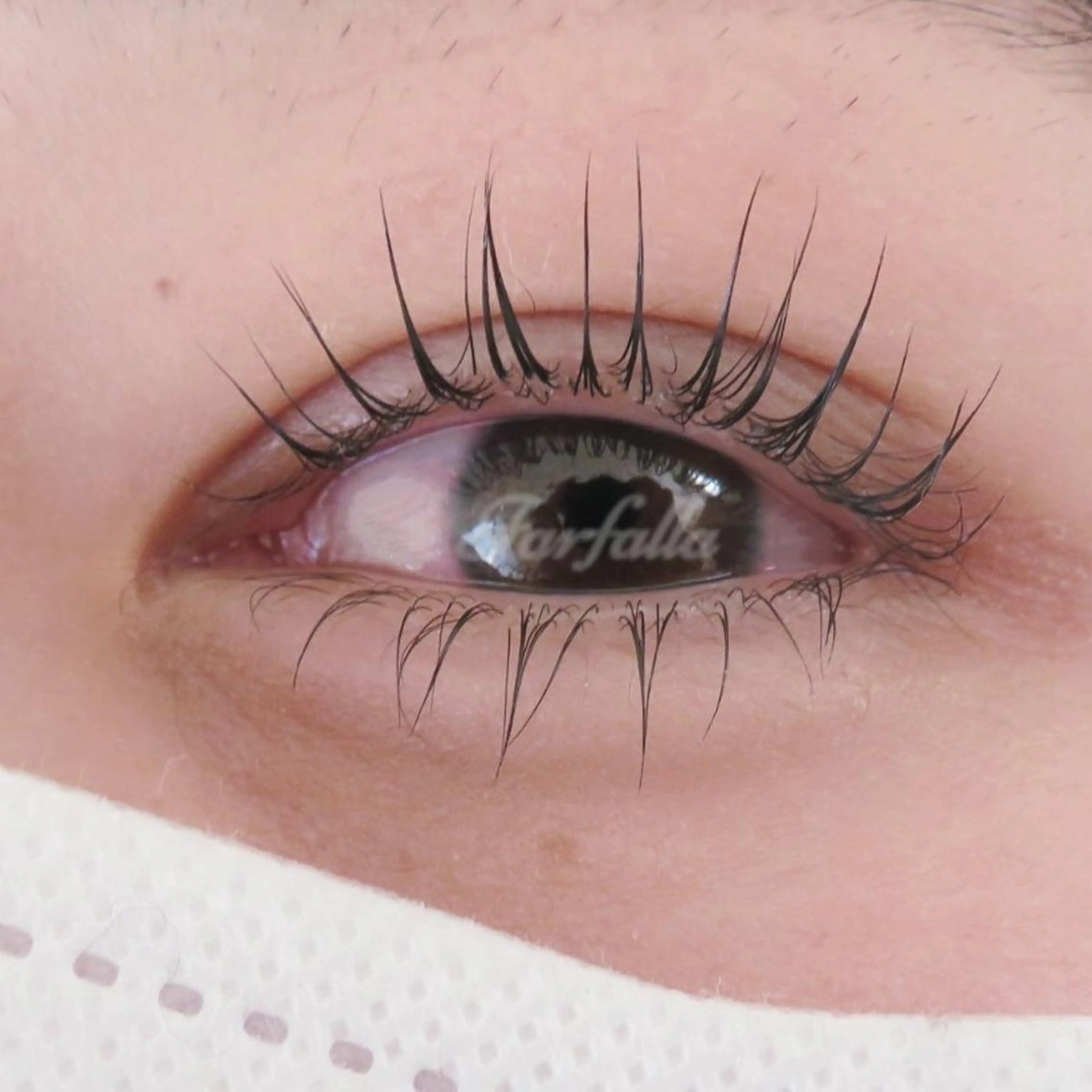 マツエク・マツパ farfalla mikaのマツエク・マツパデザイン